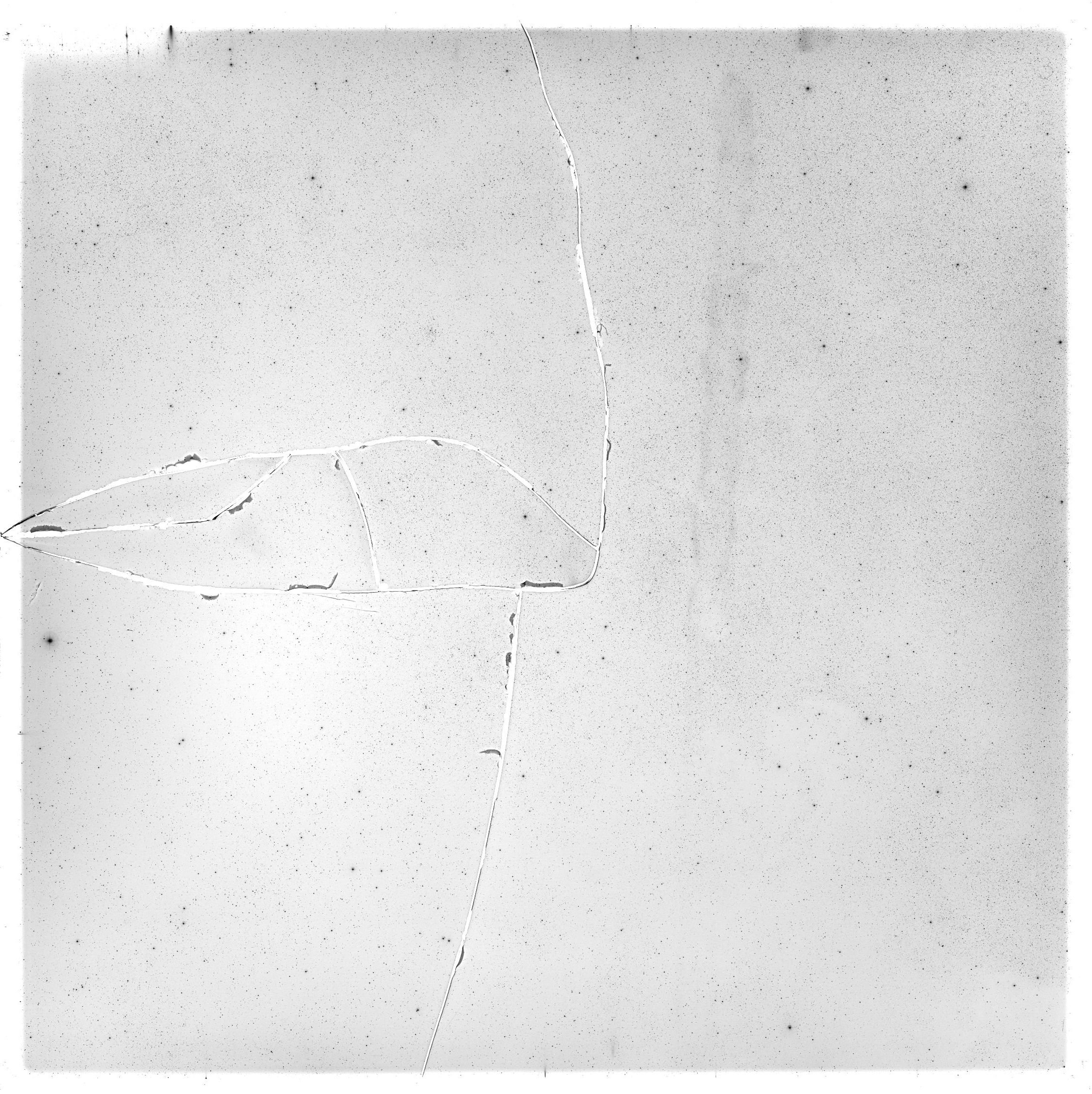 Scan GS05504