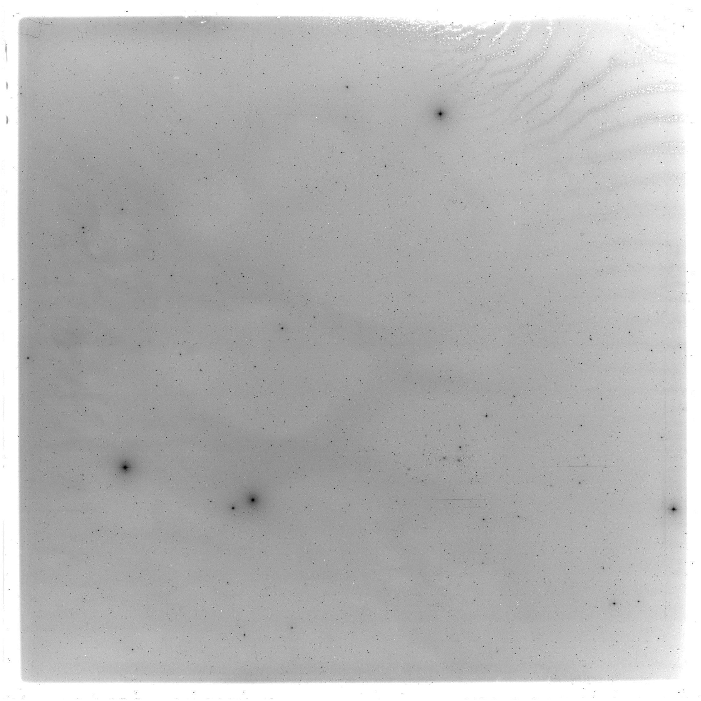 Scan GS05506