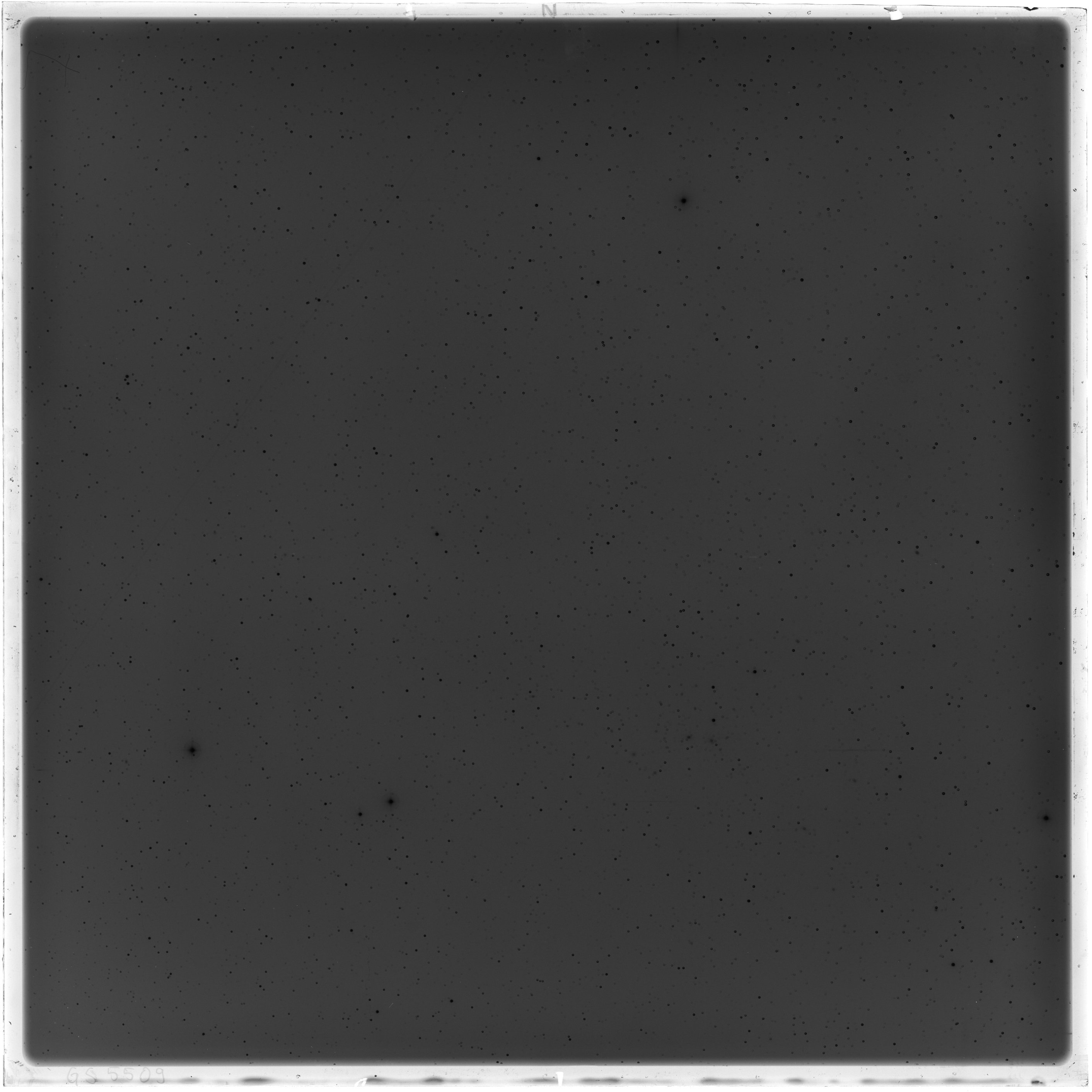 Scan GS05509