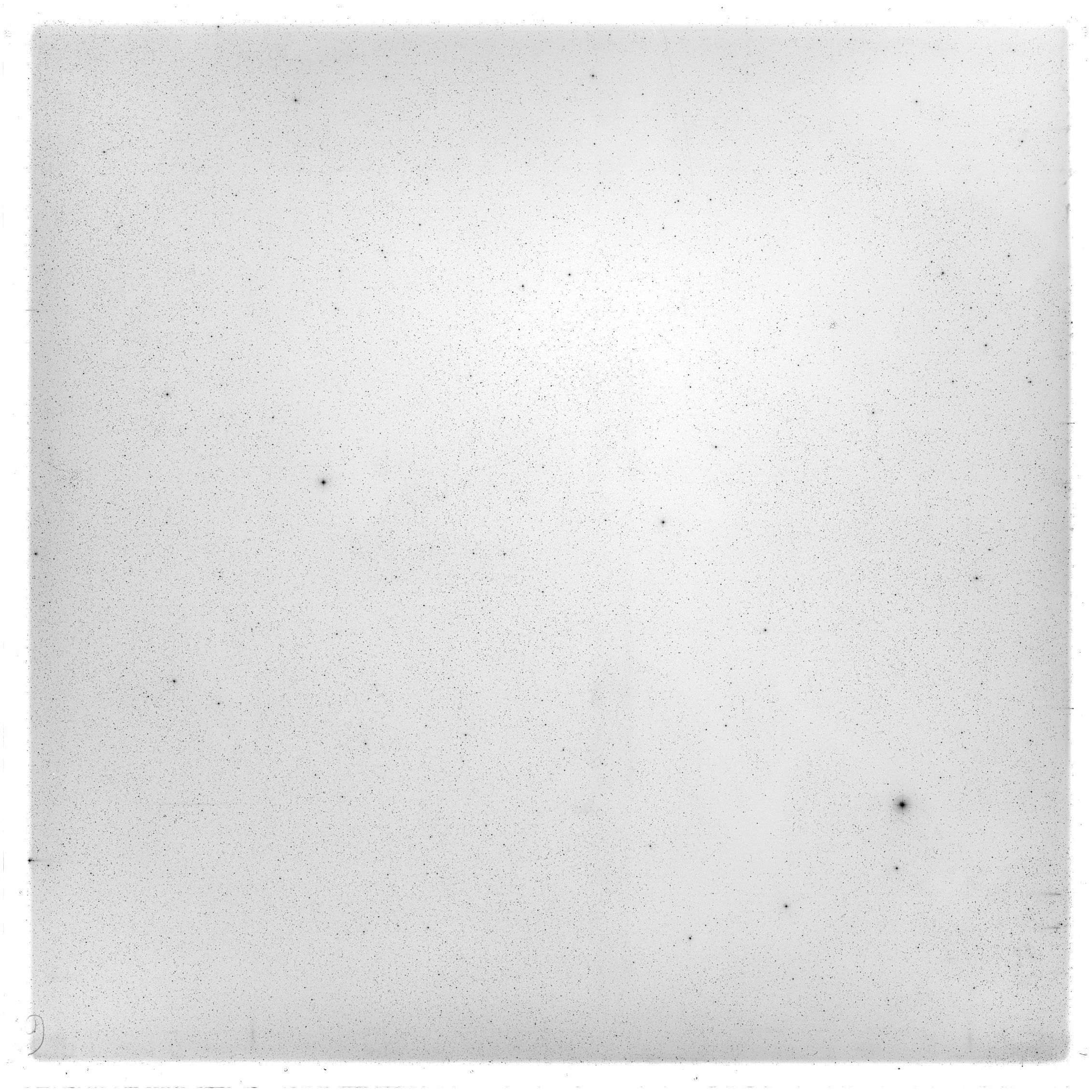 Scan GS05516