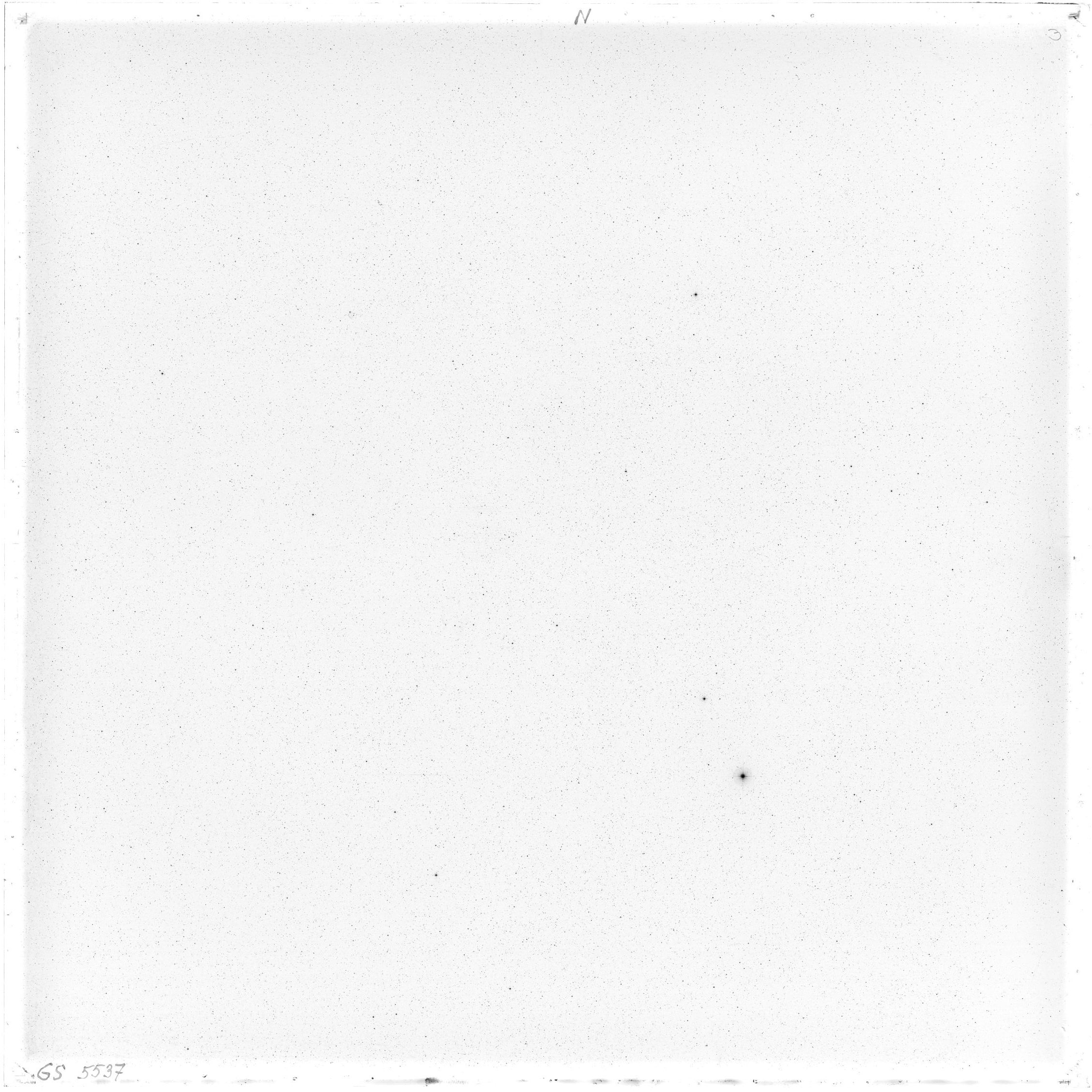 Scan GS05537