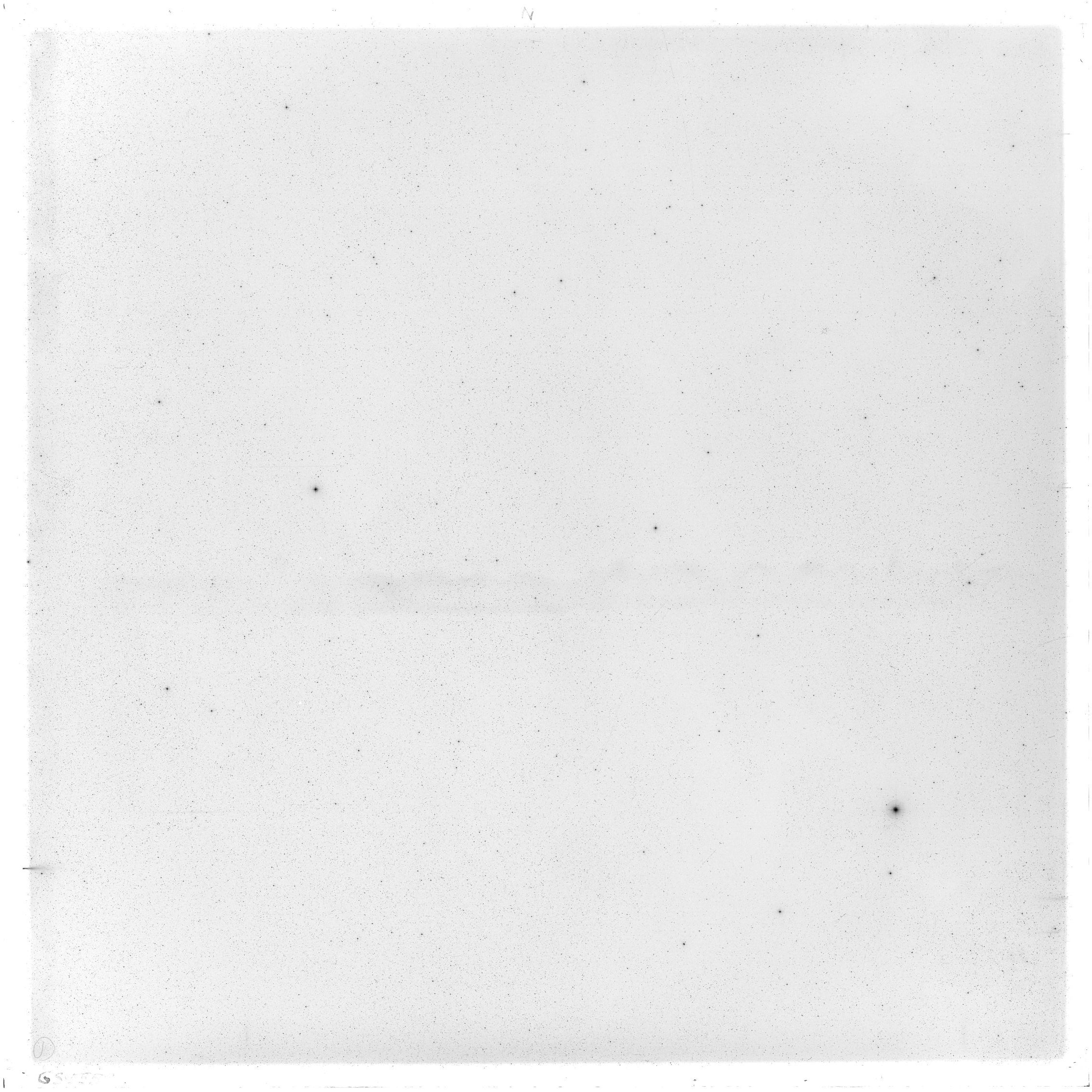 Scan GS05559