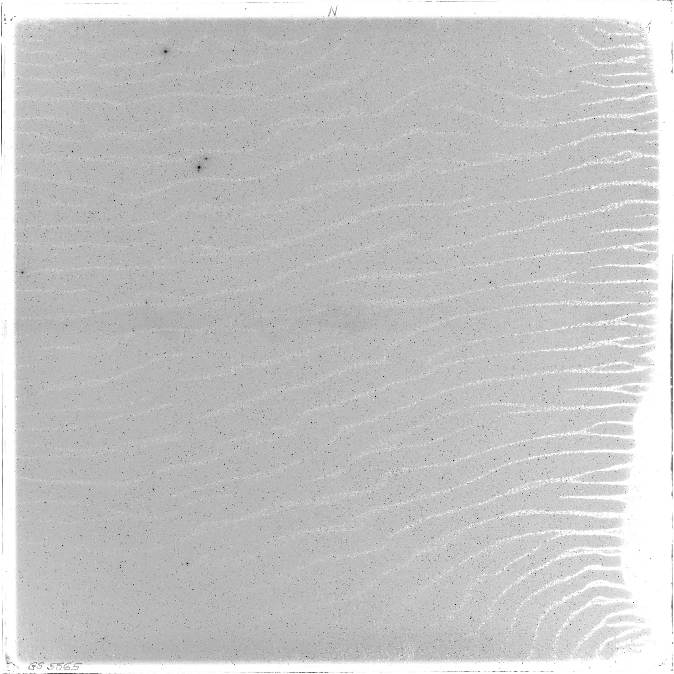 Scan GS05565