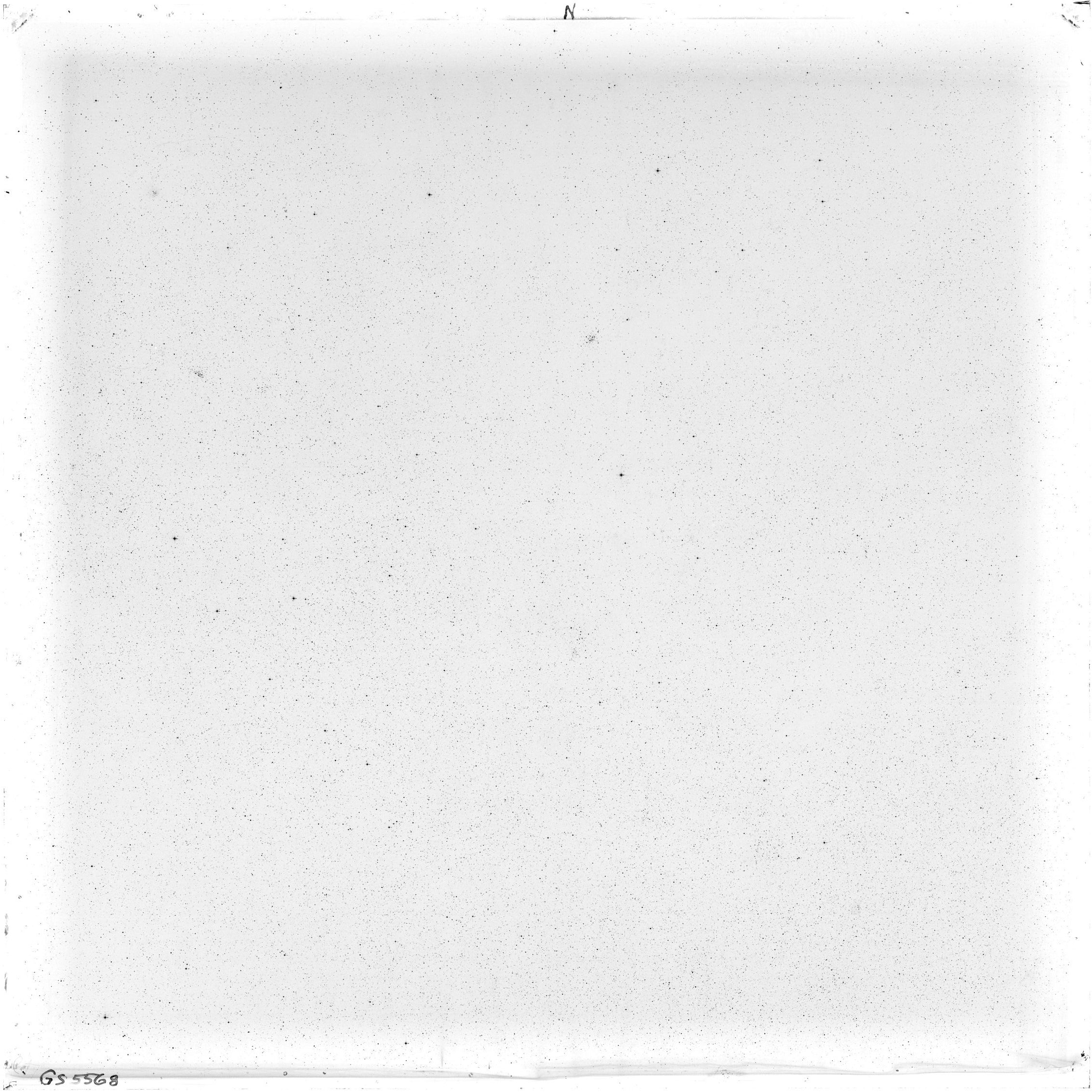 Scan GS05568