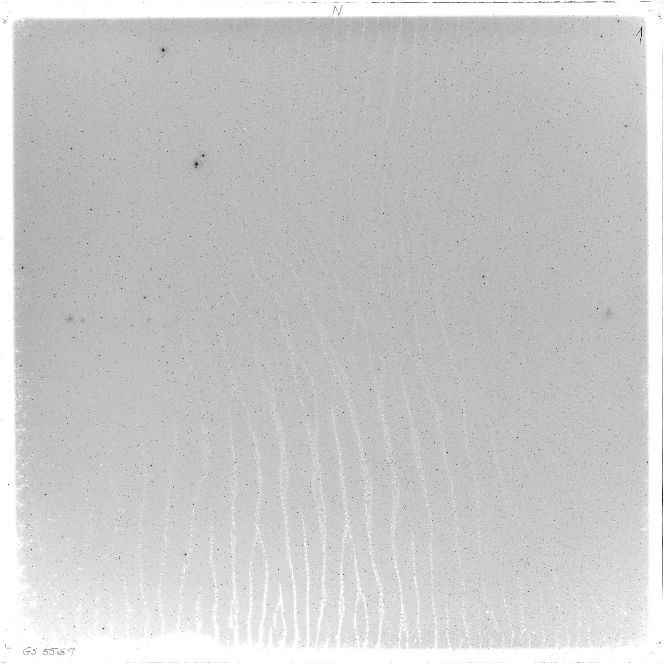 Scan GS05569