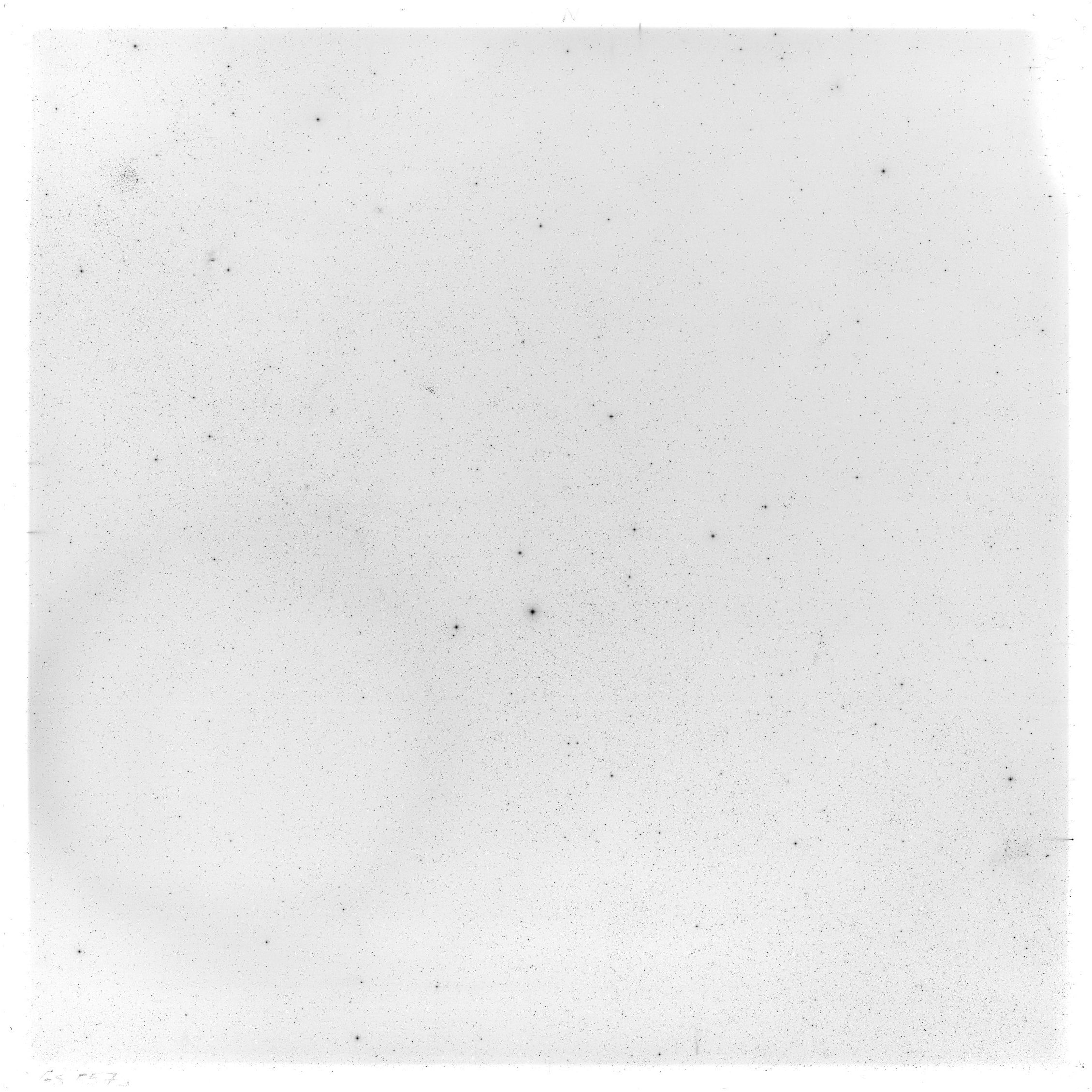 Scan GS05573