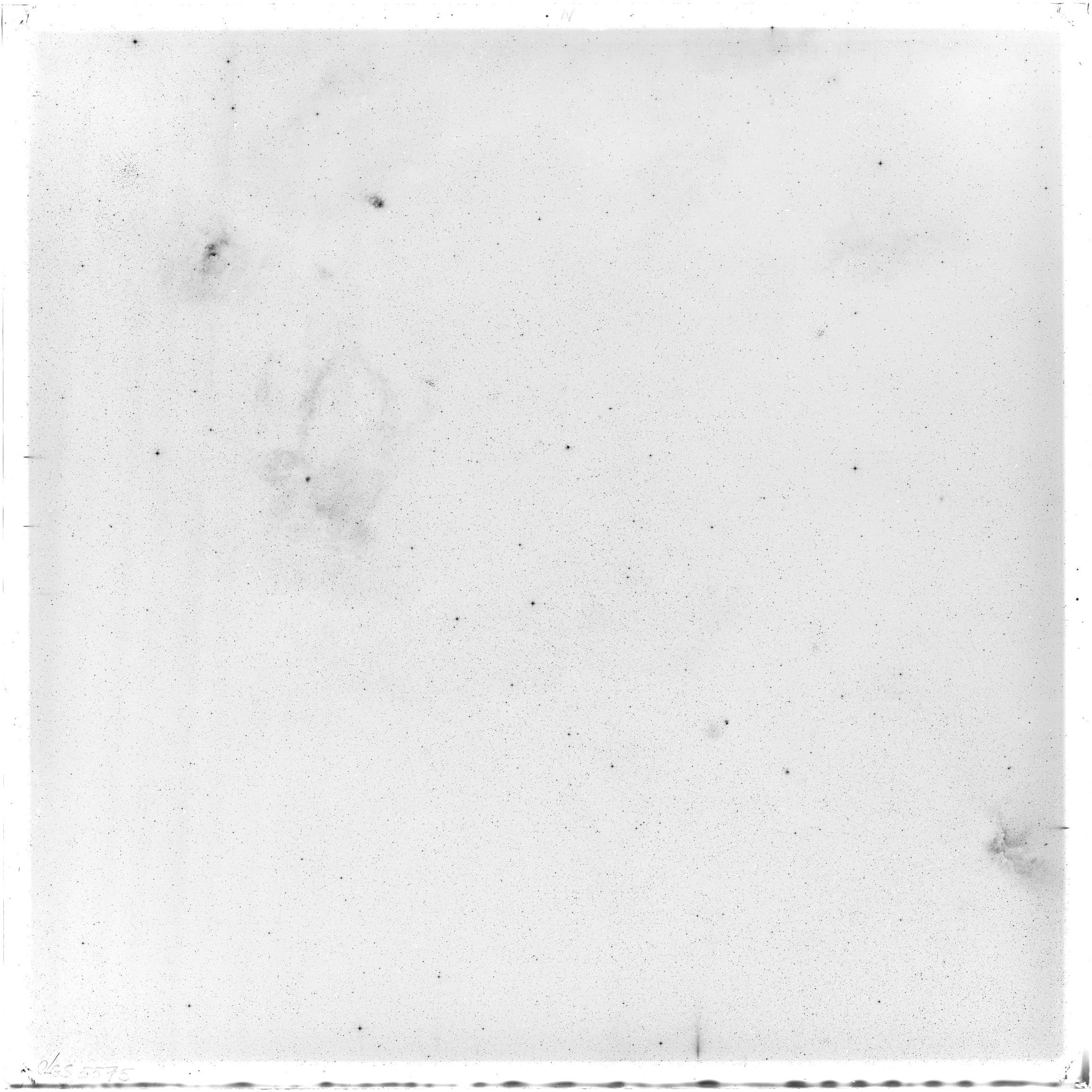 Scan GS05575