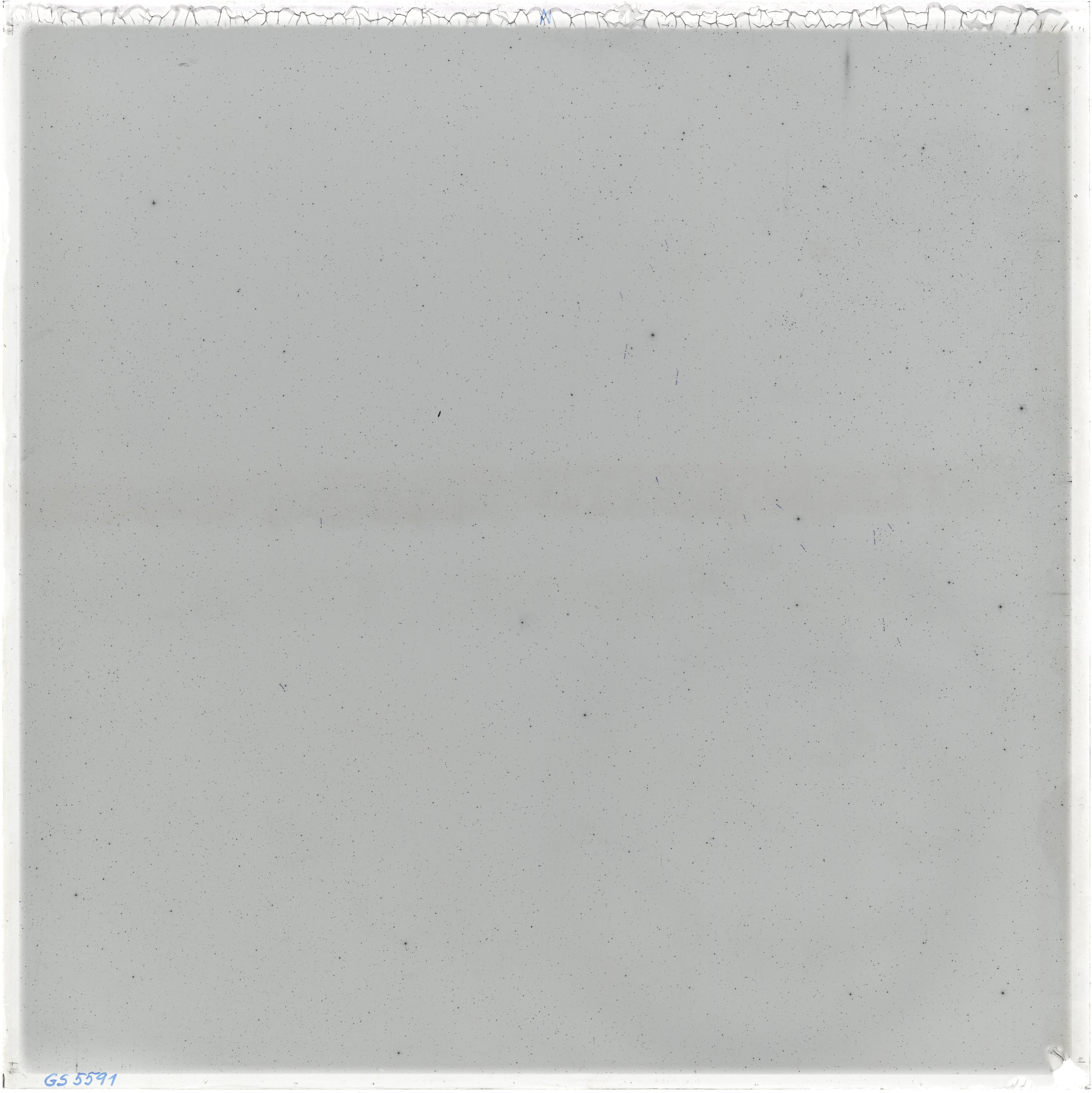 Scan GS05591