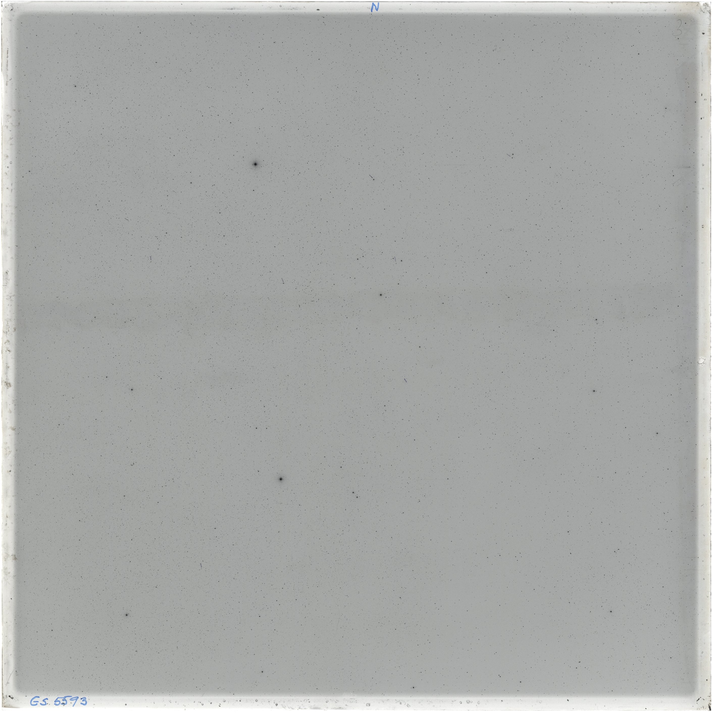 Scan GS05593