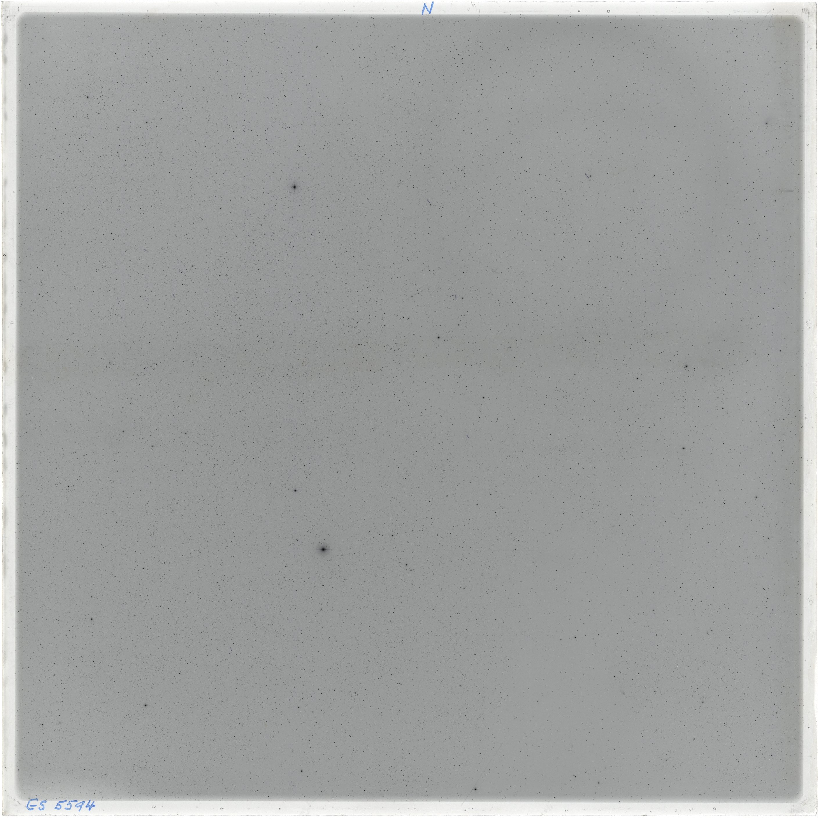 Scan GS05594