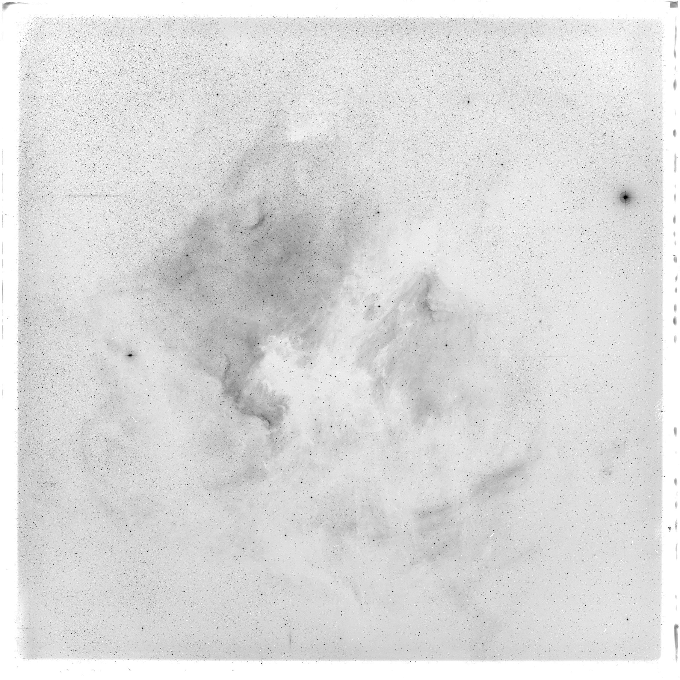 Scan GS05599