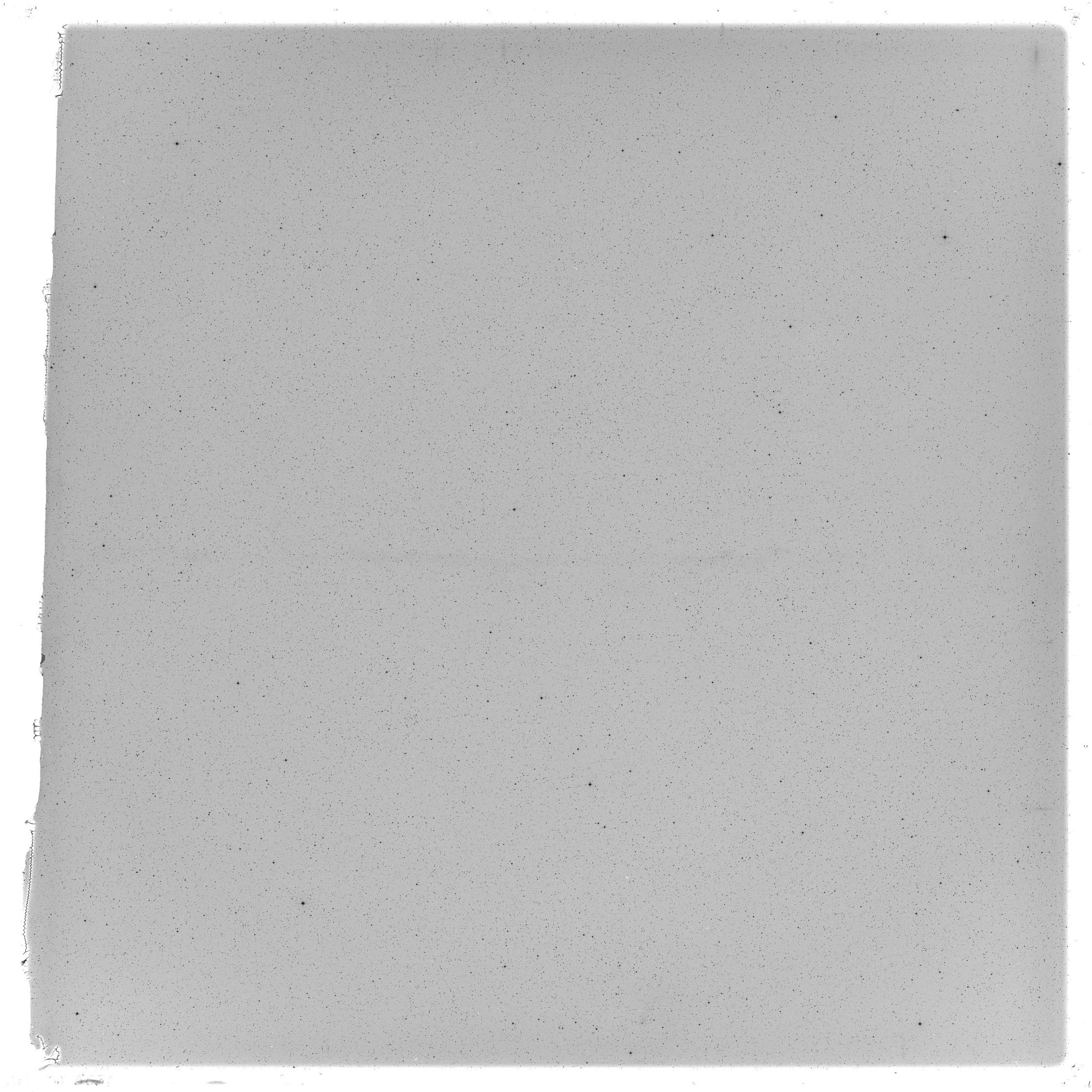 Scan GS05631