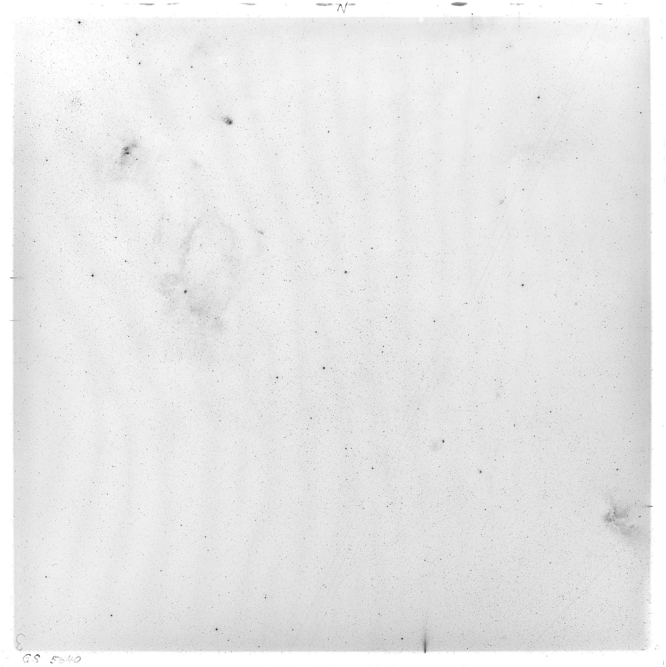 Scan GS05640