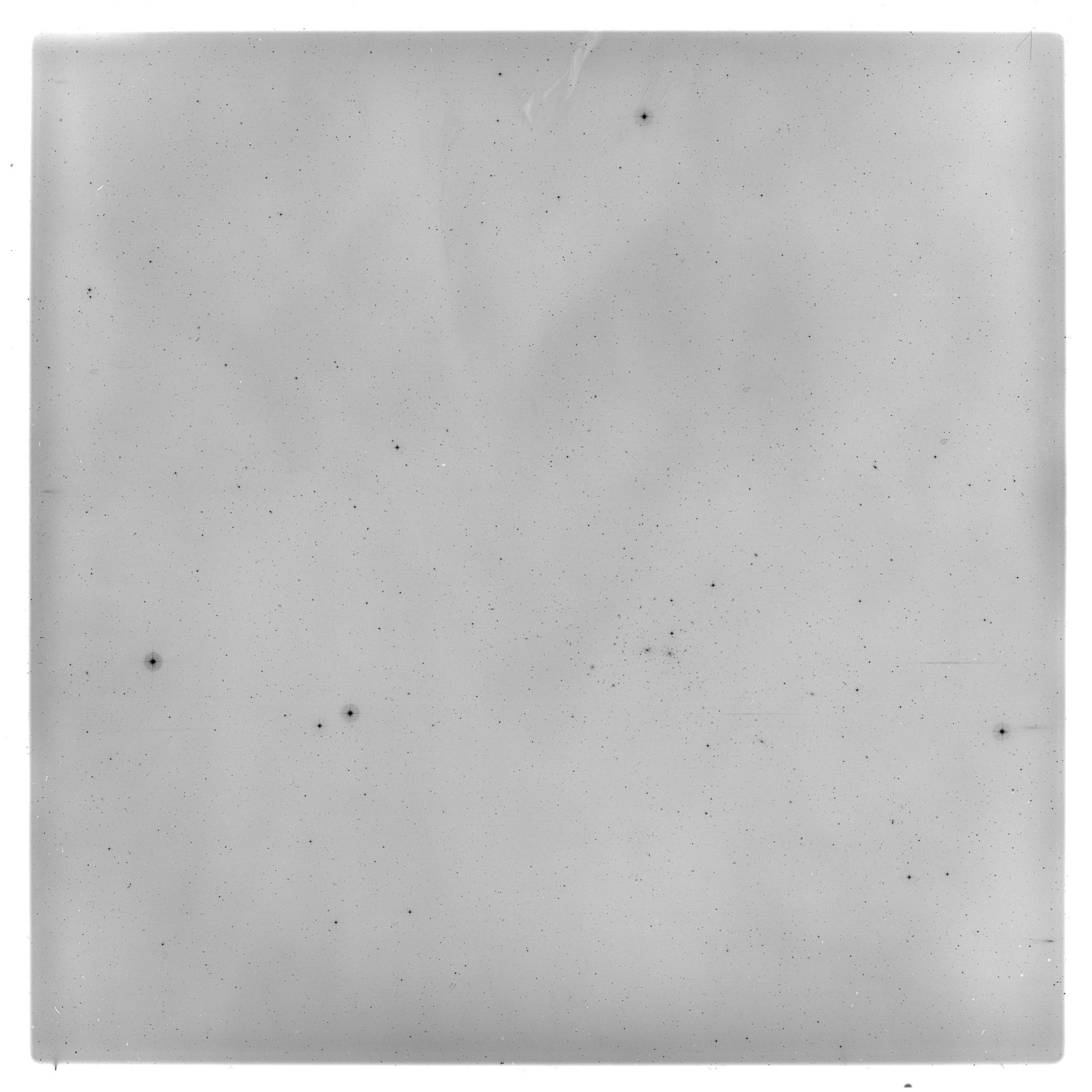 Scan GS05699