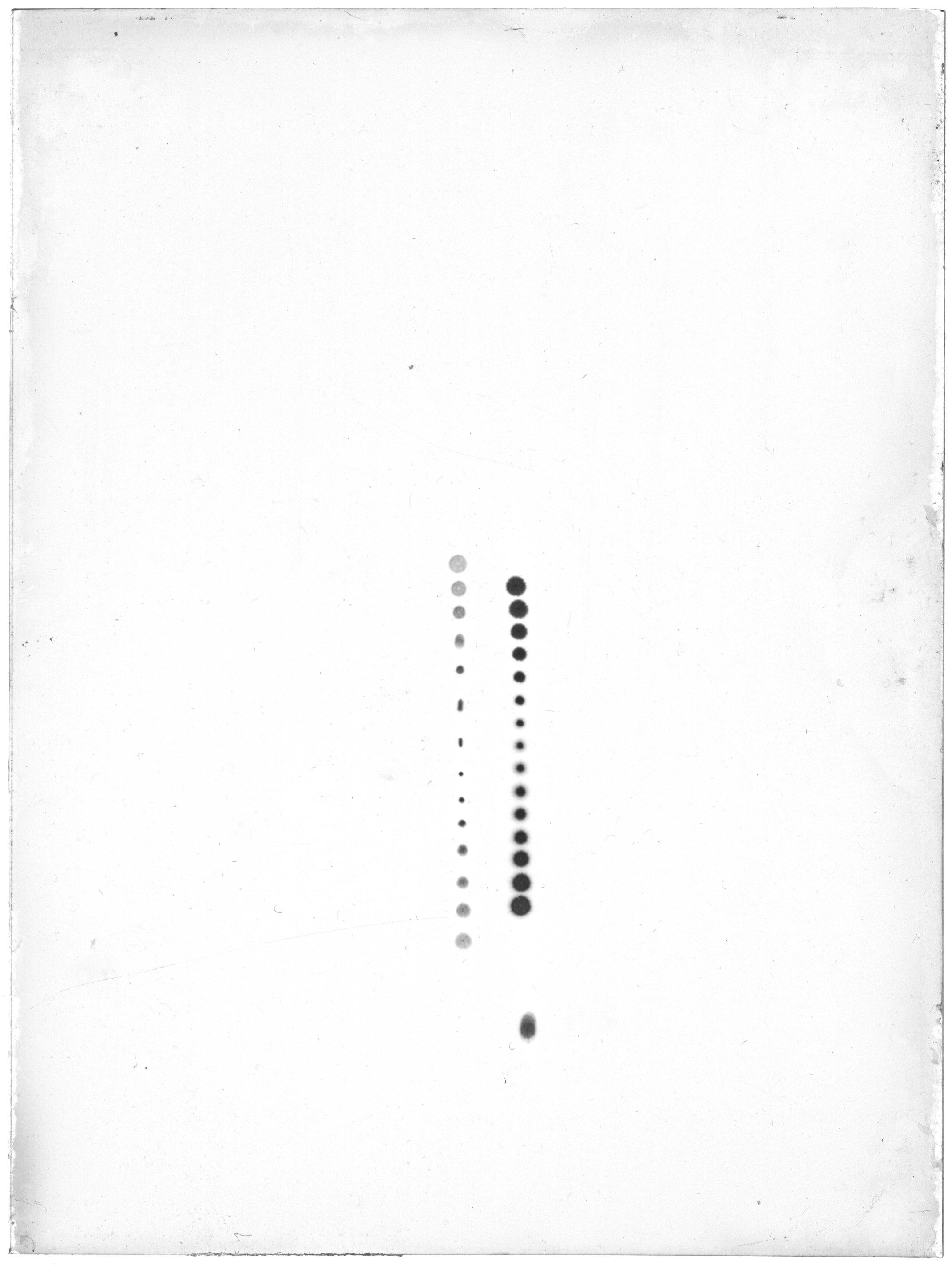 Scan GR00559b