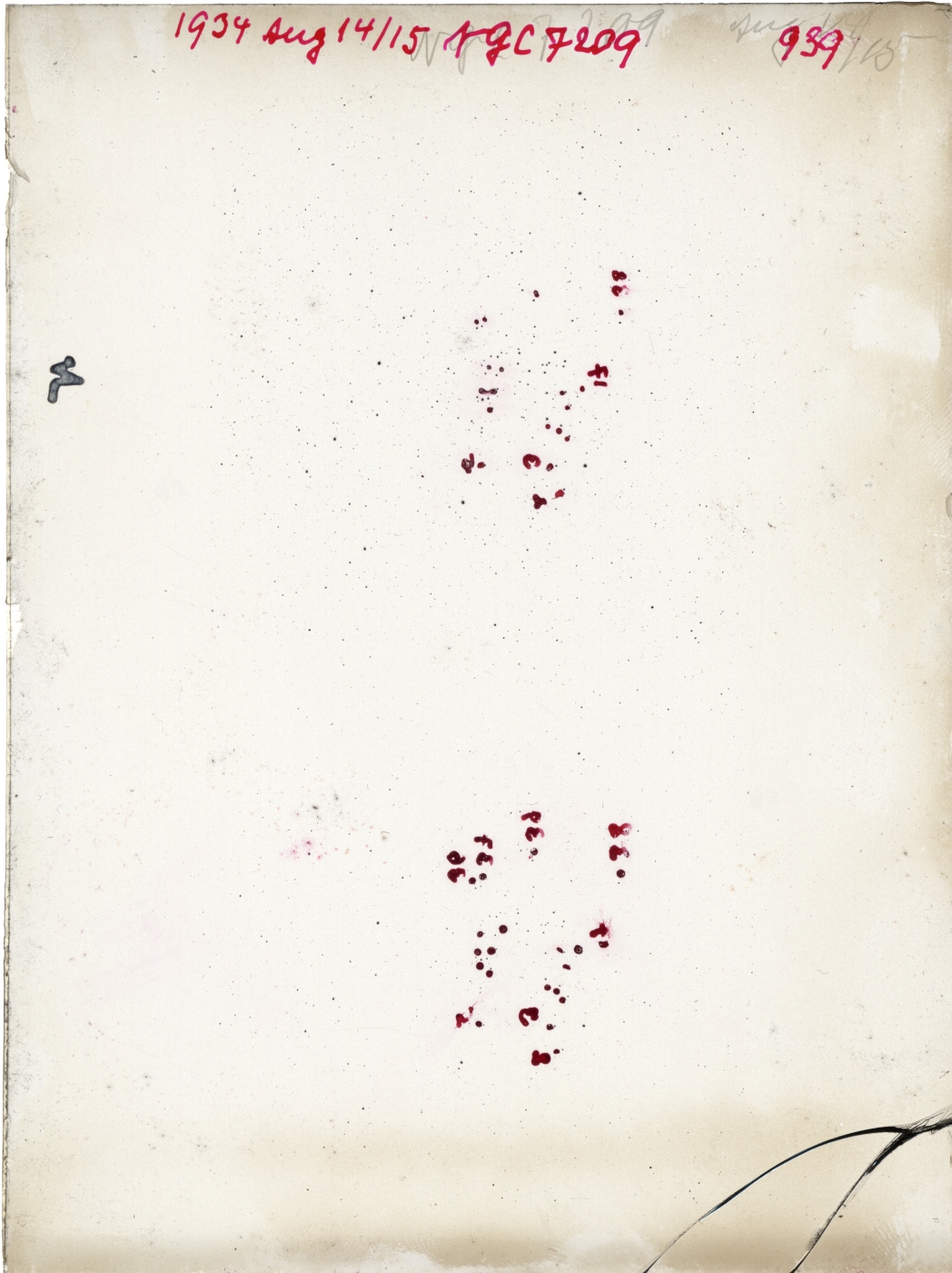 Scan GR00939