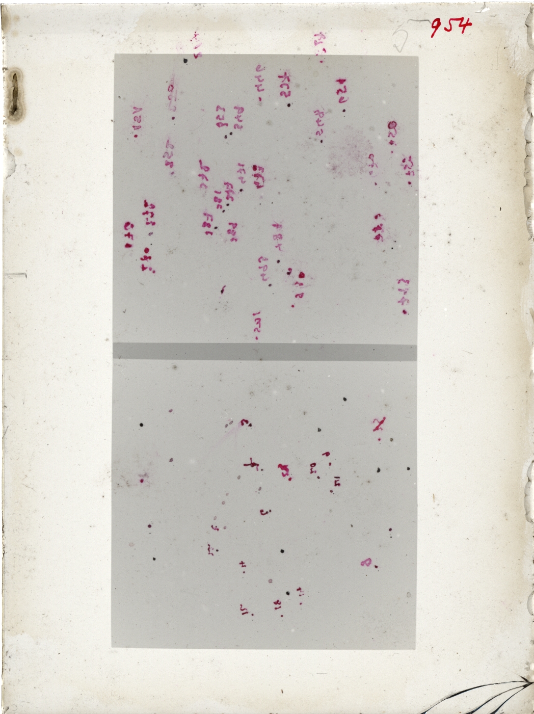 Scan GR00954