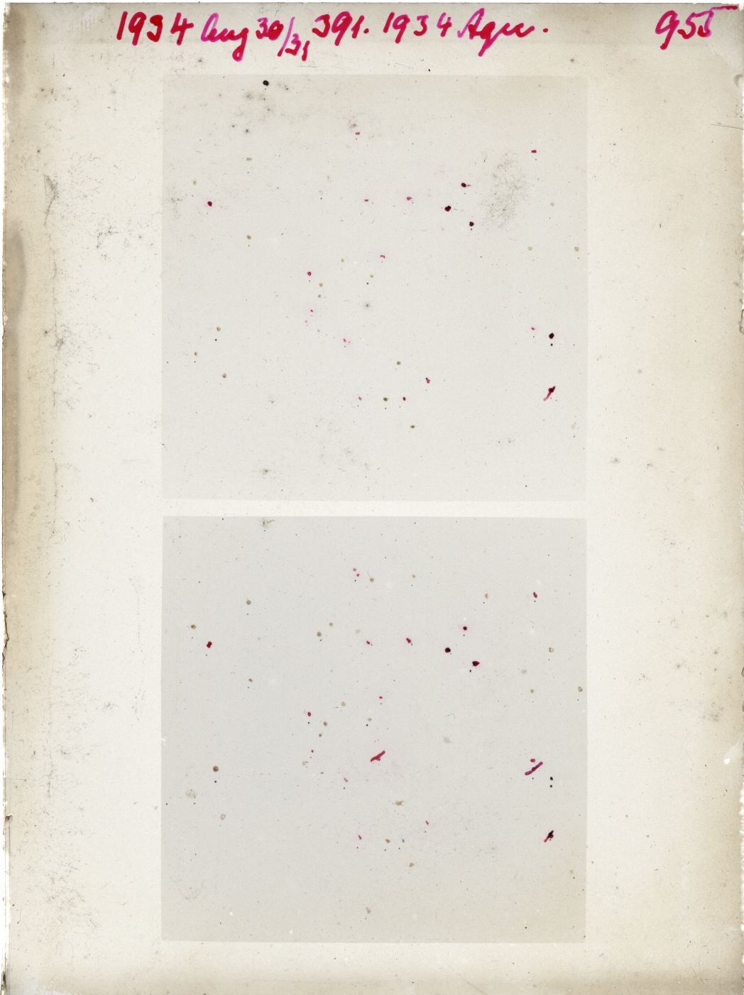 Scan GR00955