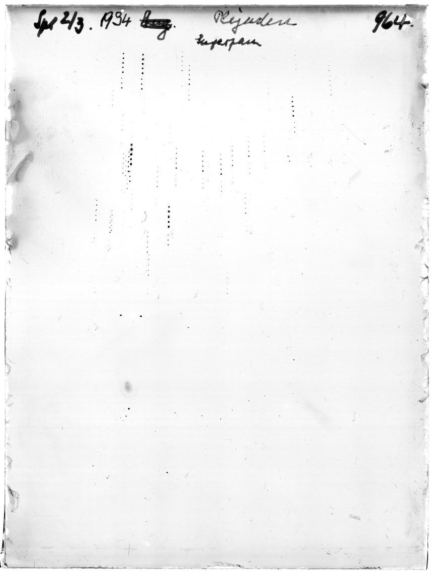 Scan GR00964