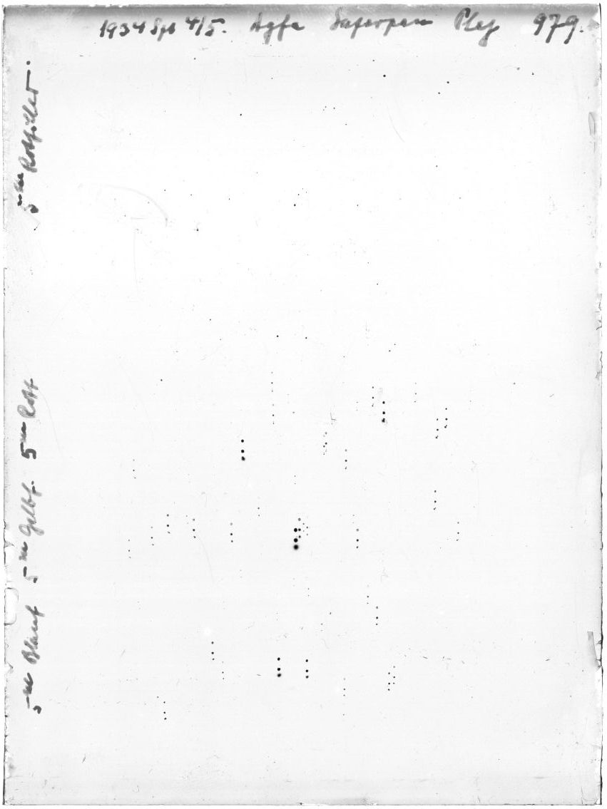 Scan GR00979