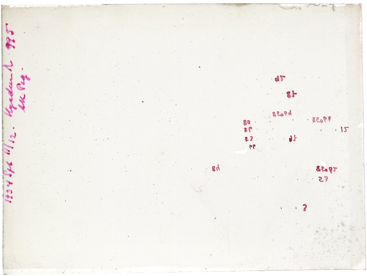 Scan GR00995
