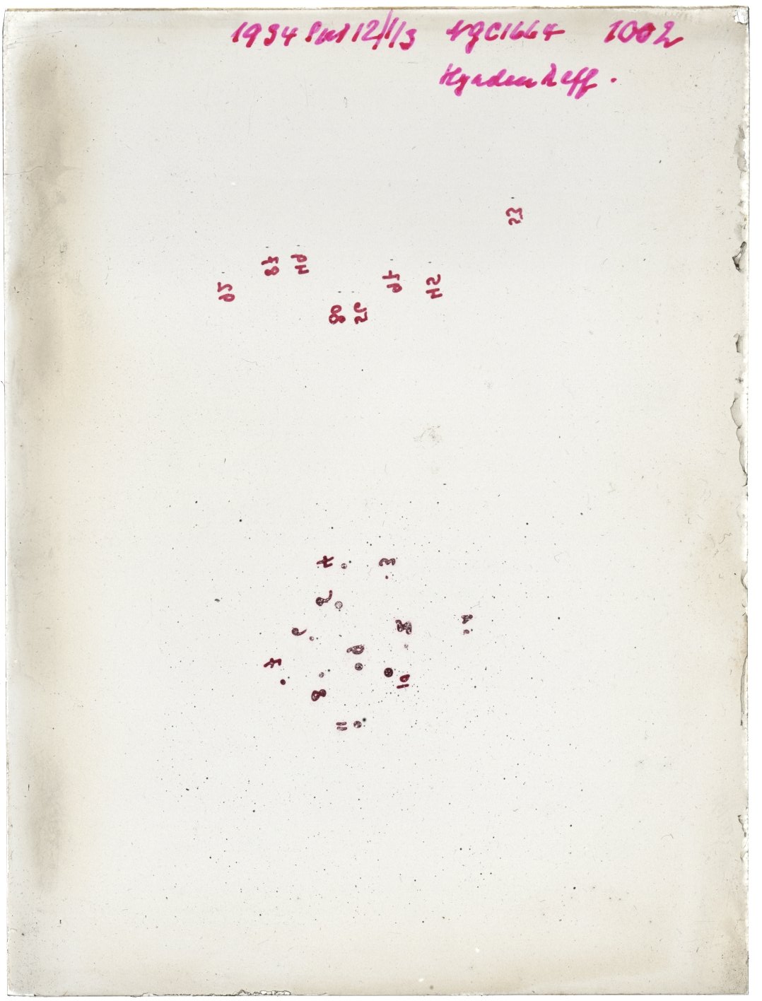 Scan GR01002