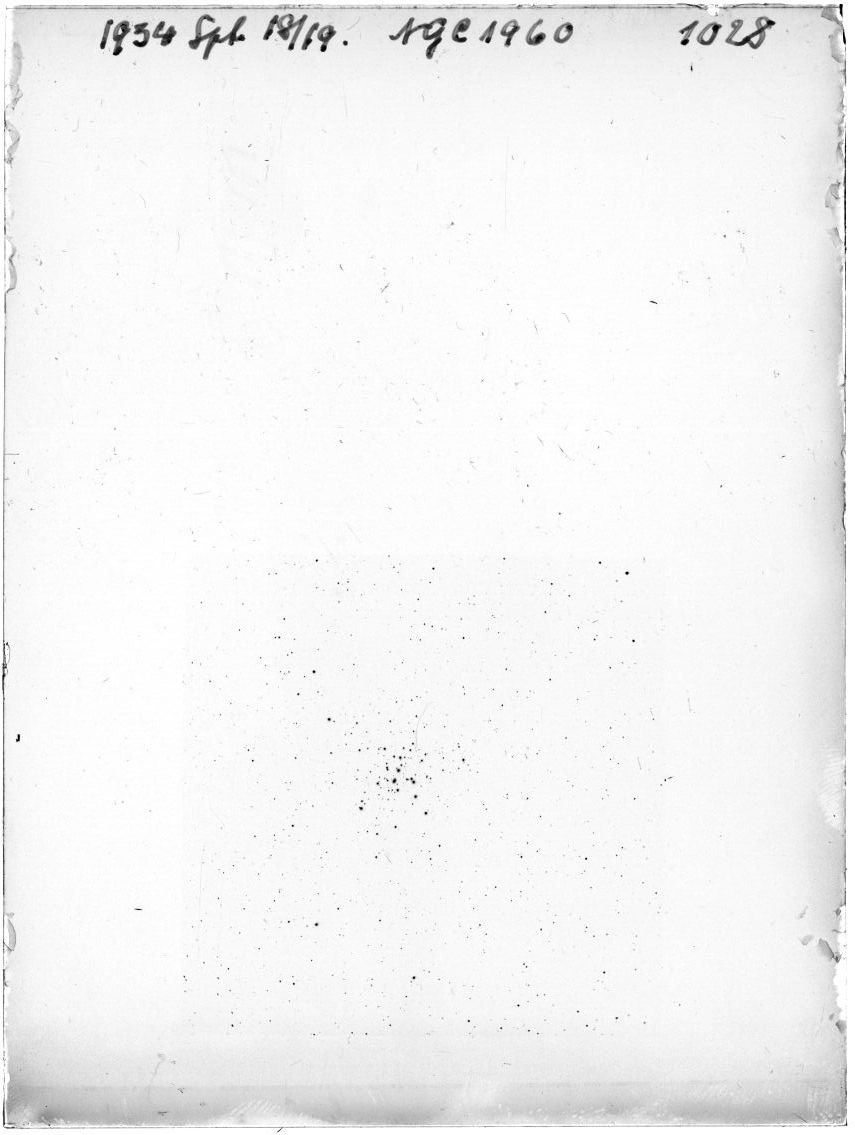 Scan GR01028