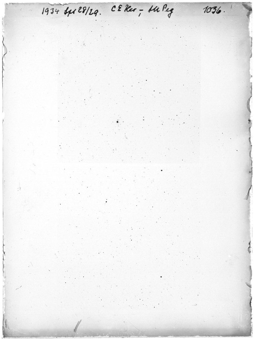 Scan GR01036