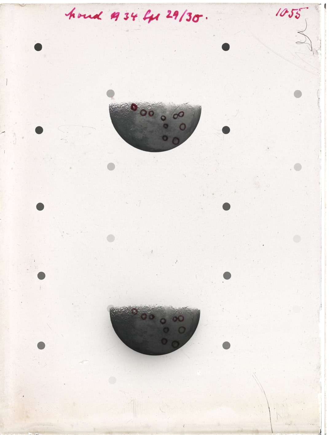 Scan GR01055