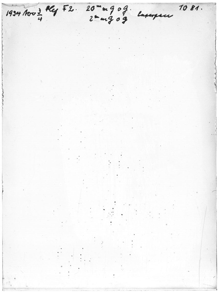 Scan GR01081