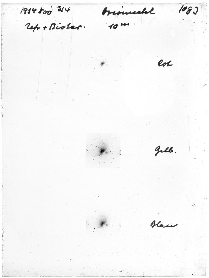 Scan GR01083