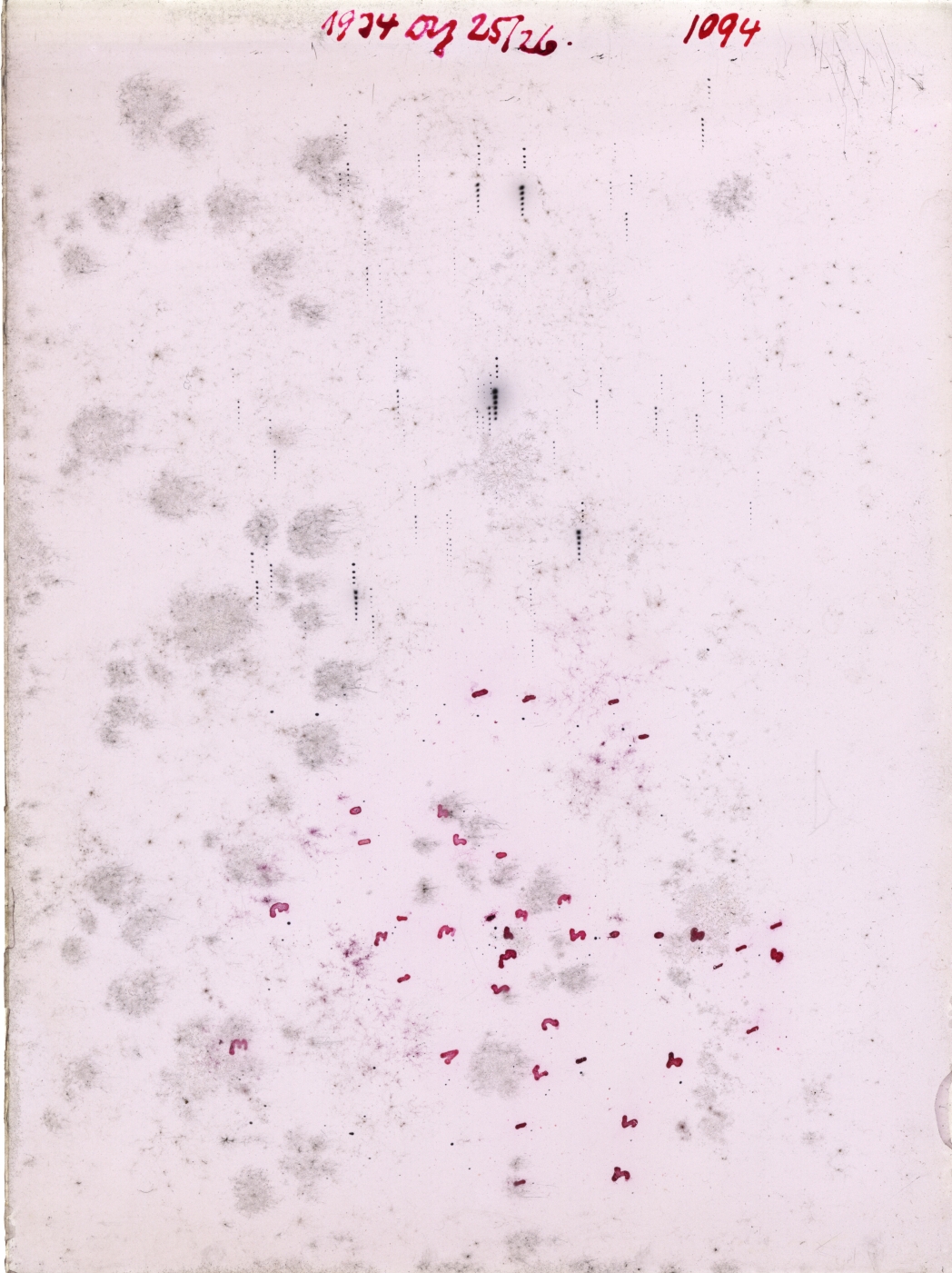 Scan GR01094