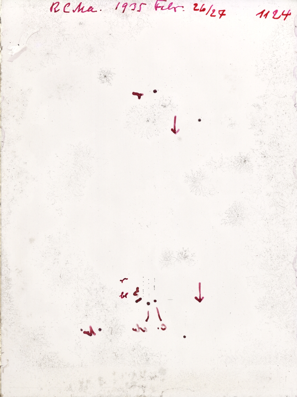 Scan GR01124