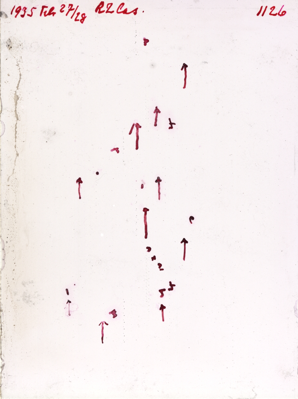 Scan GR01126