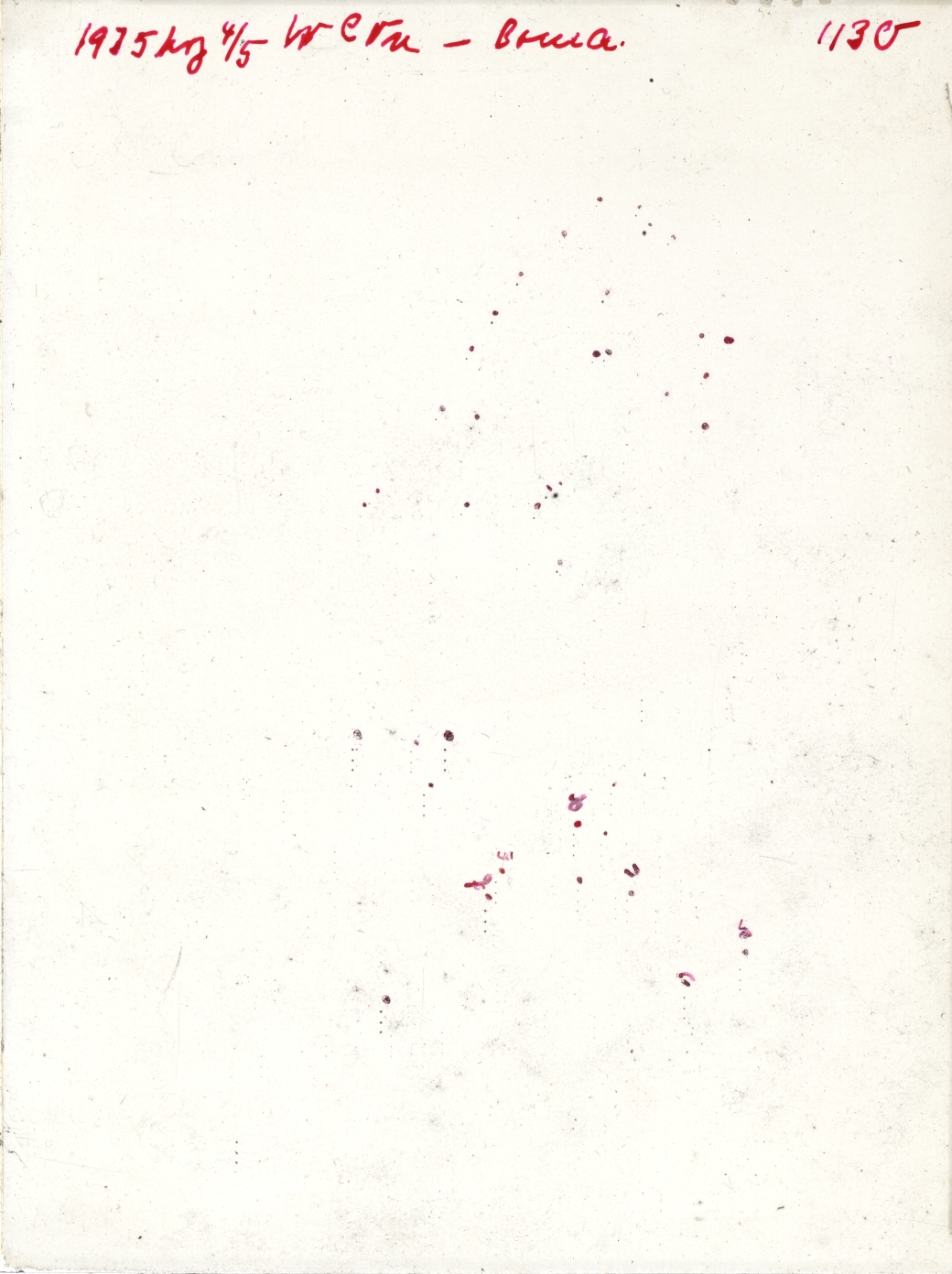 Scan GR01130