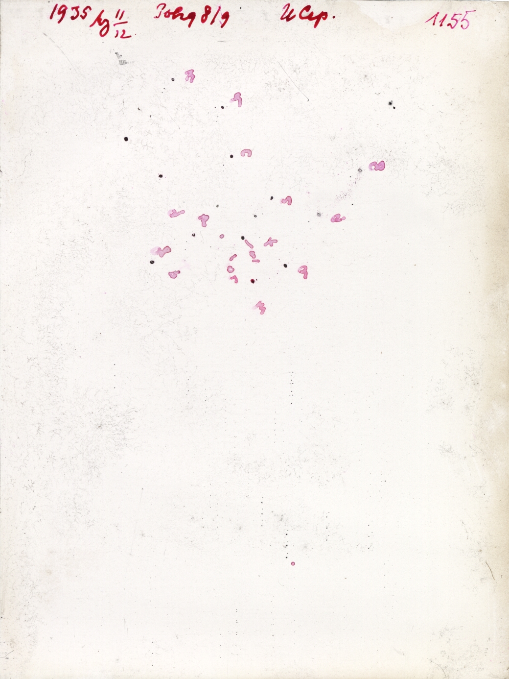 Scan GR01155