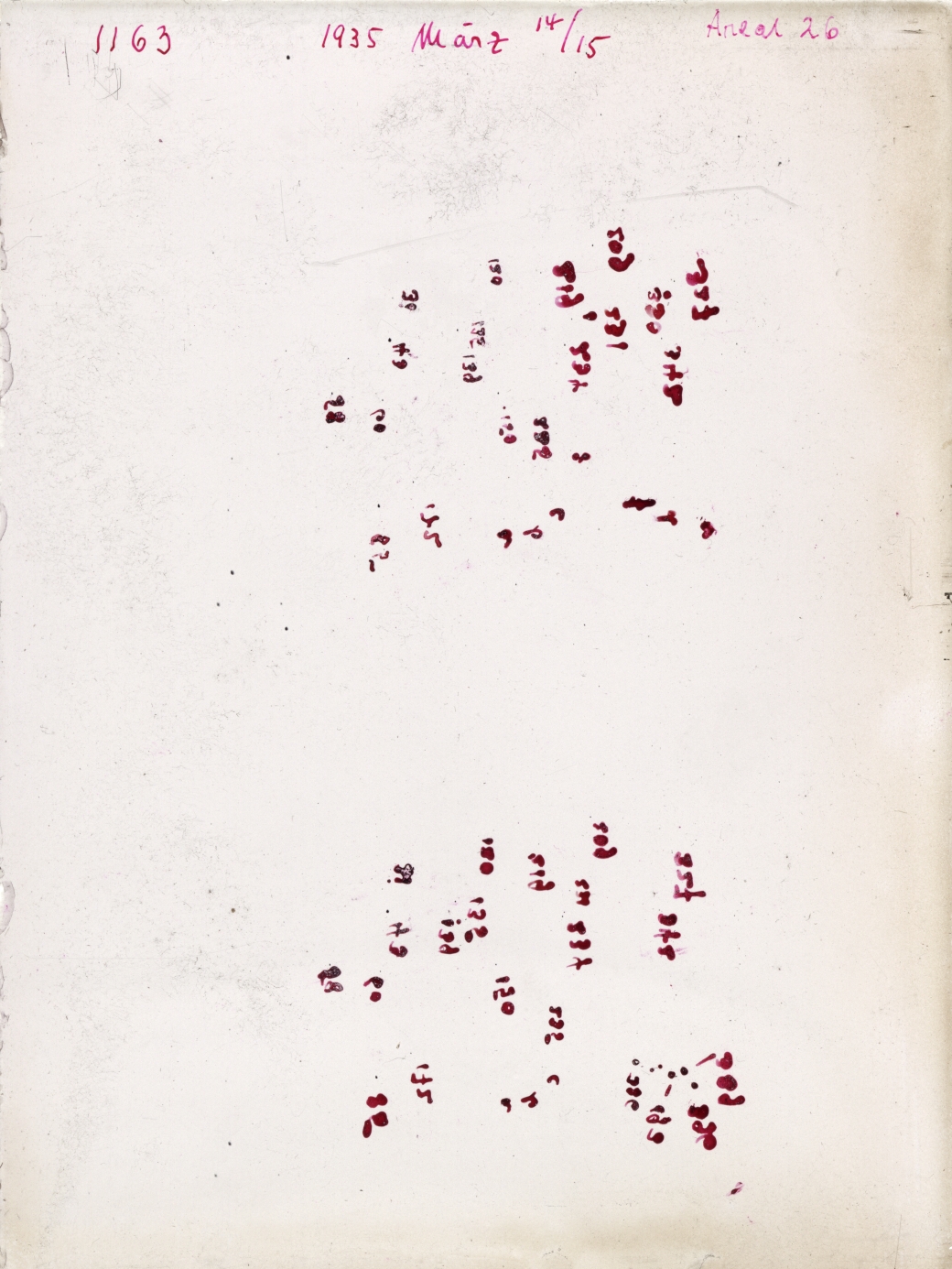 Scan GR01163