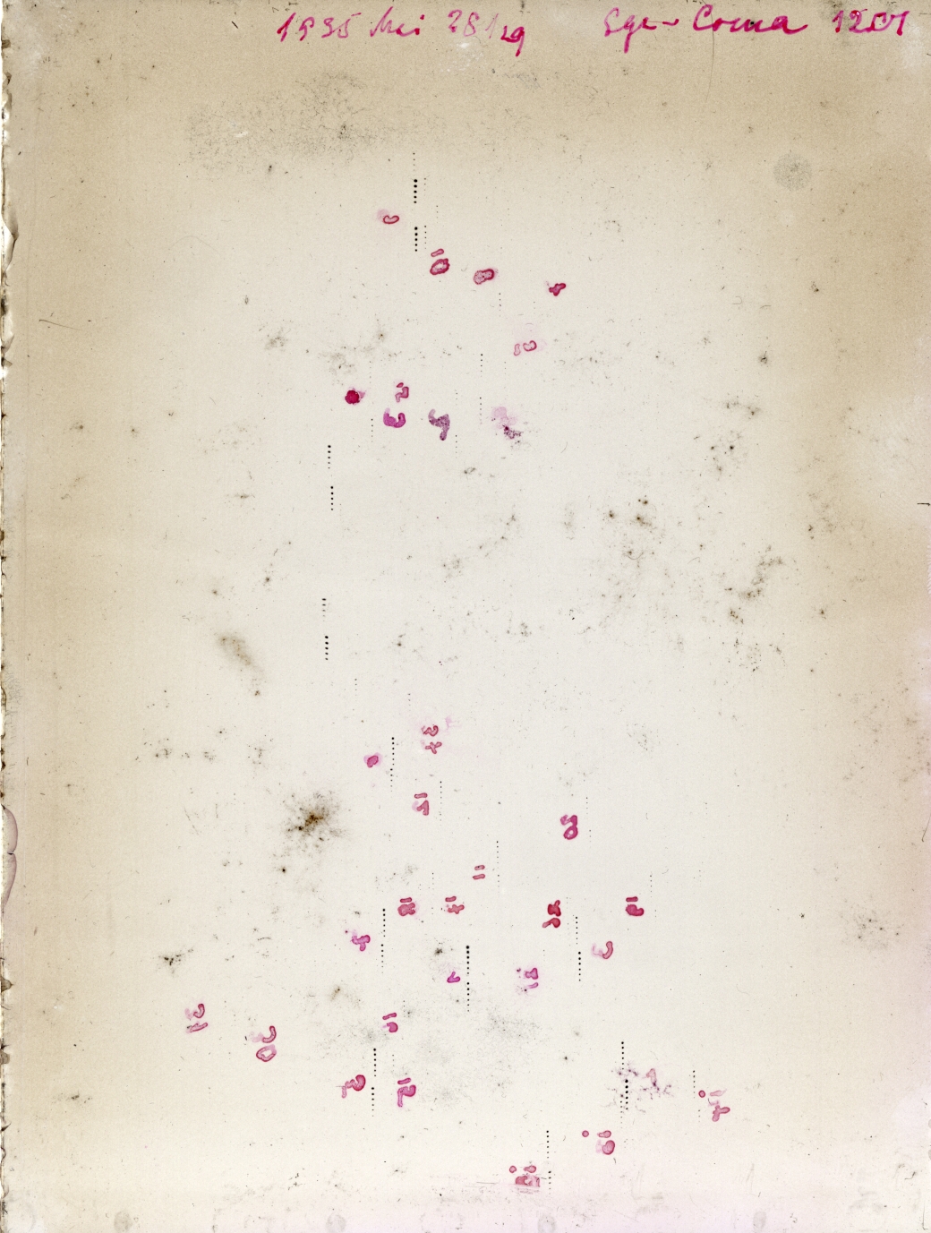 Scan GR01201