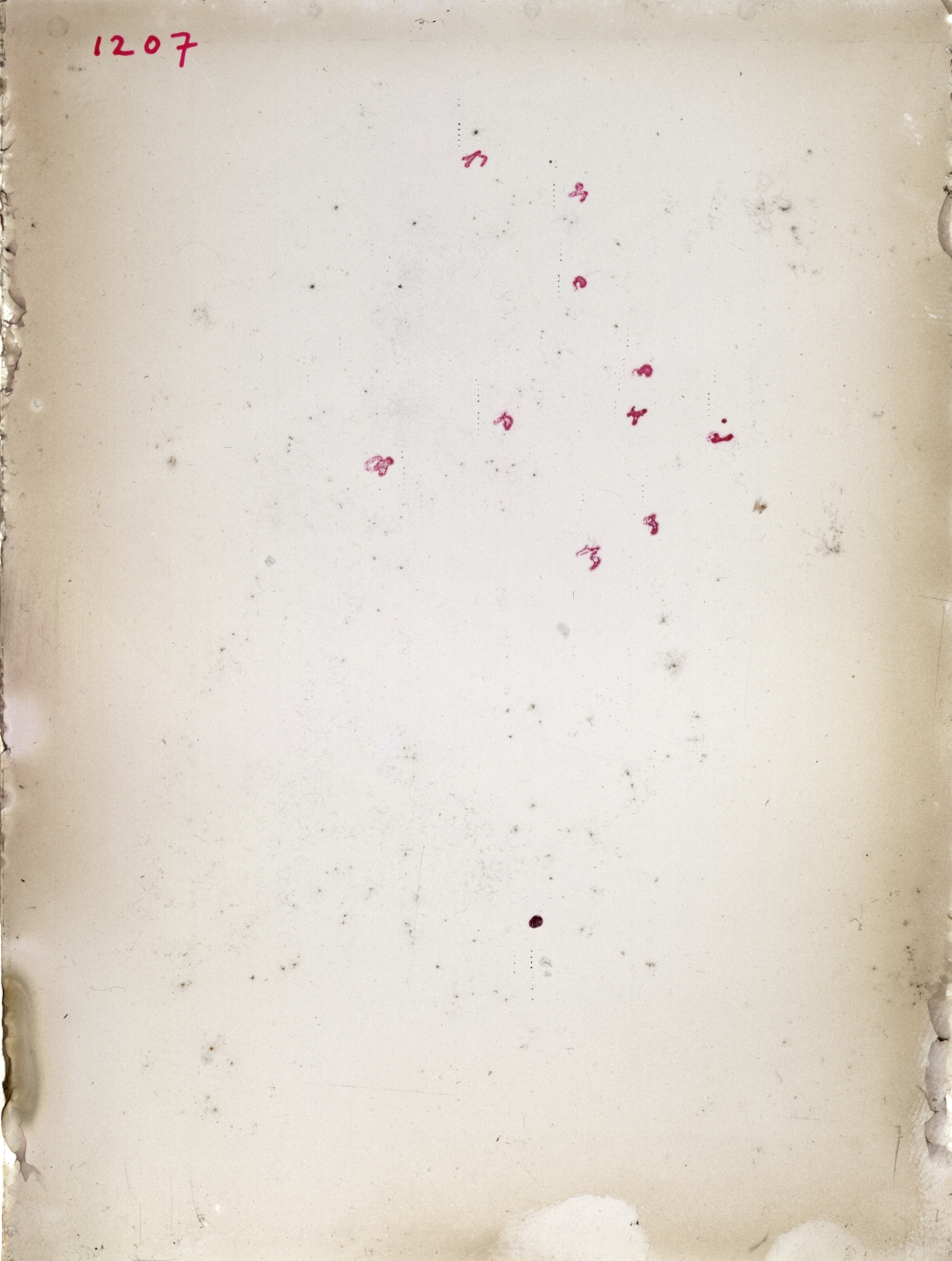 Scan GR01207
