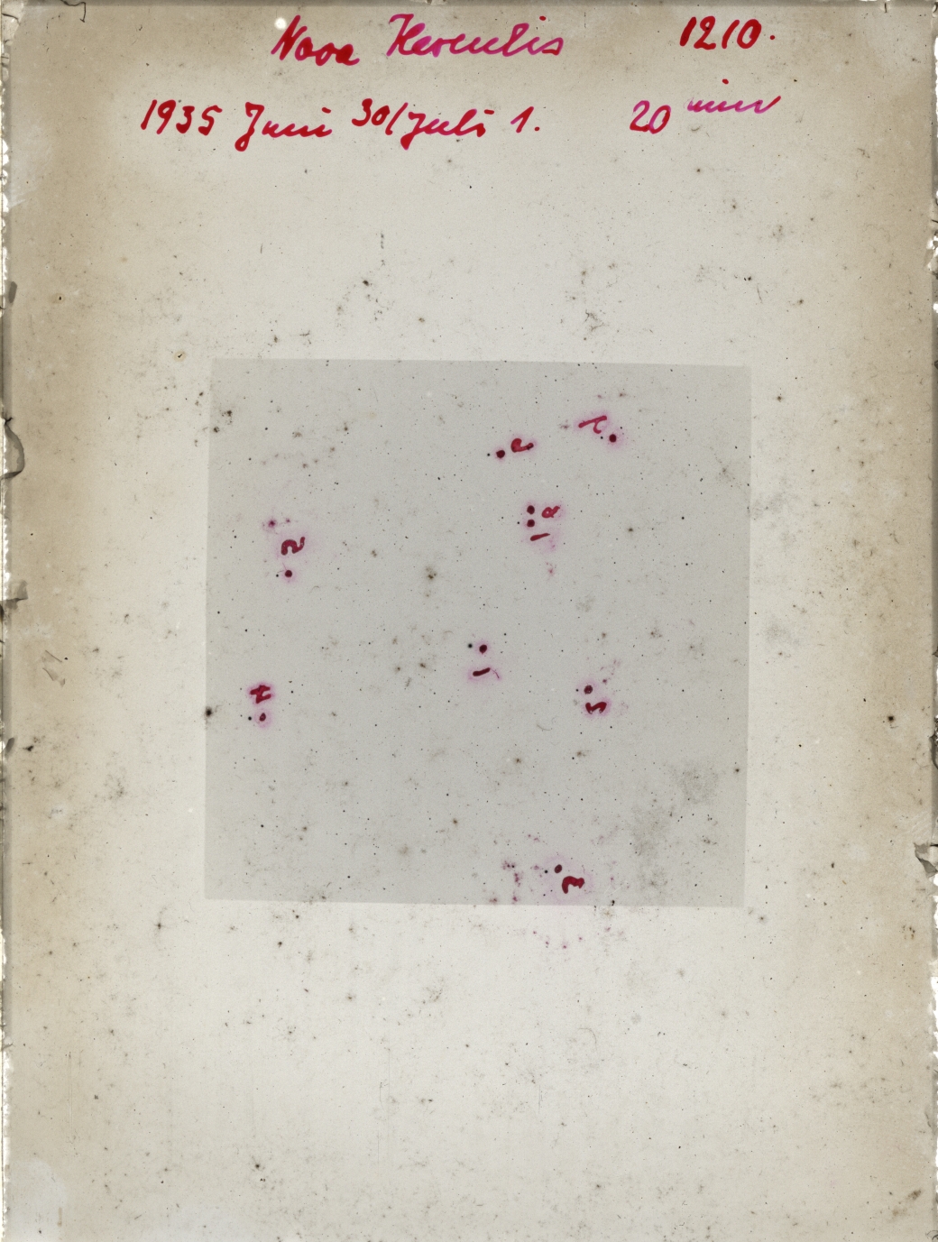 Scan GR01210