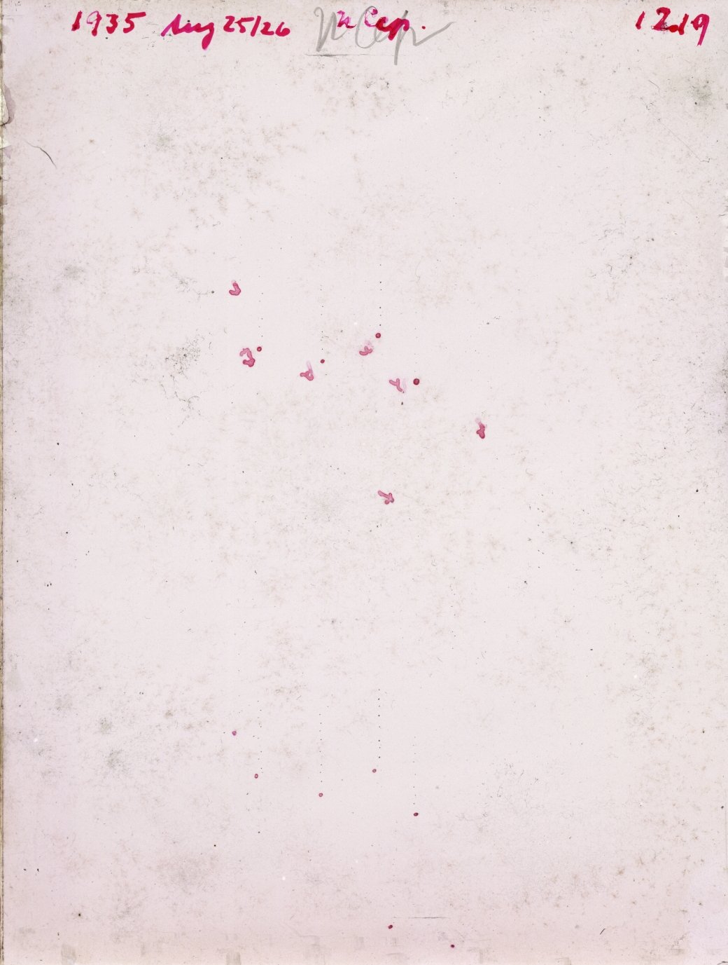 Scan GR01219