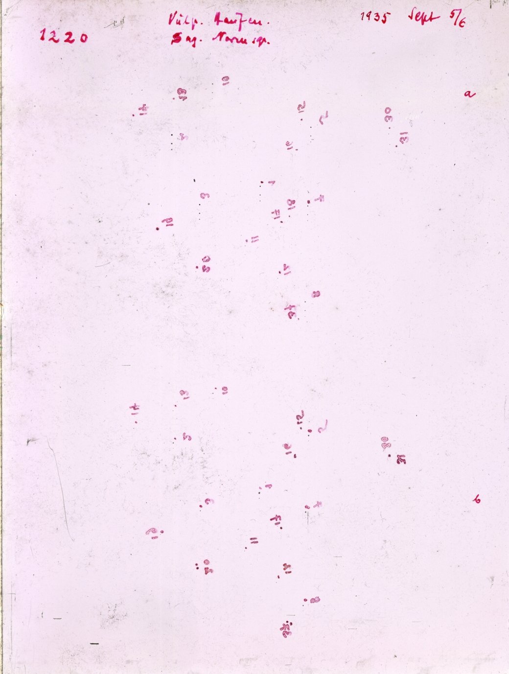 Scan GR01220