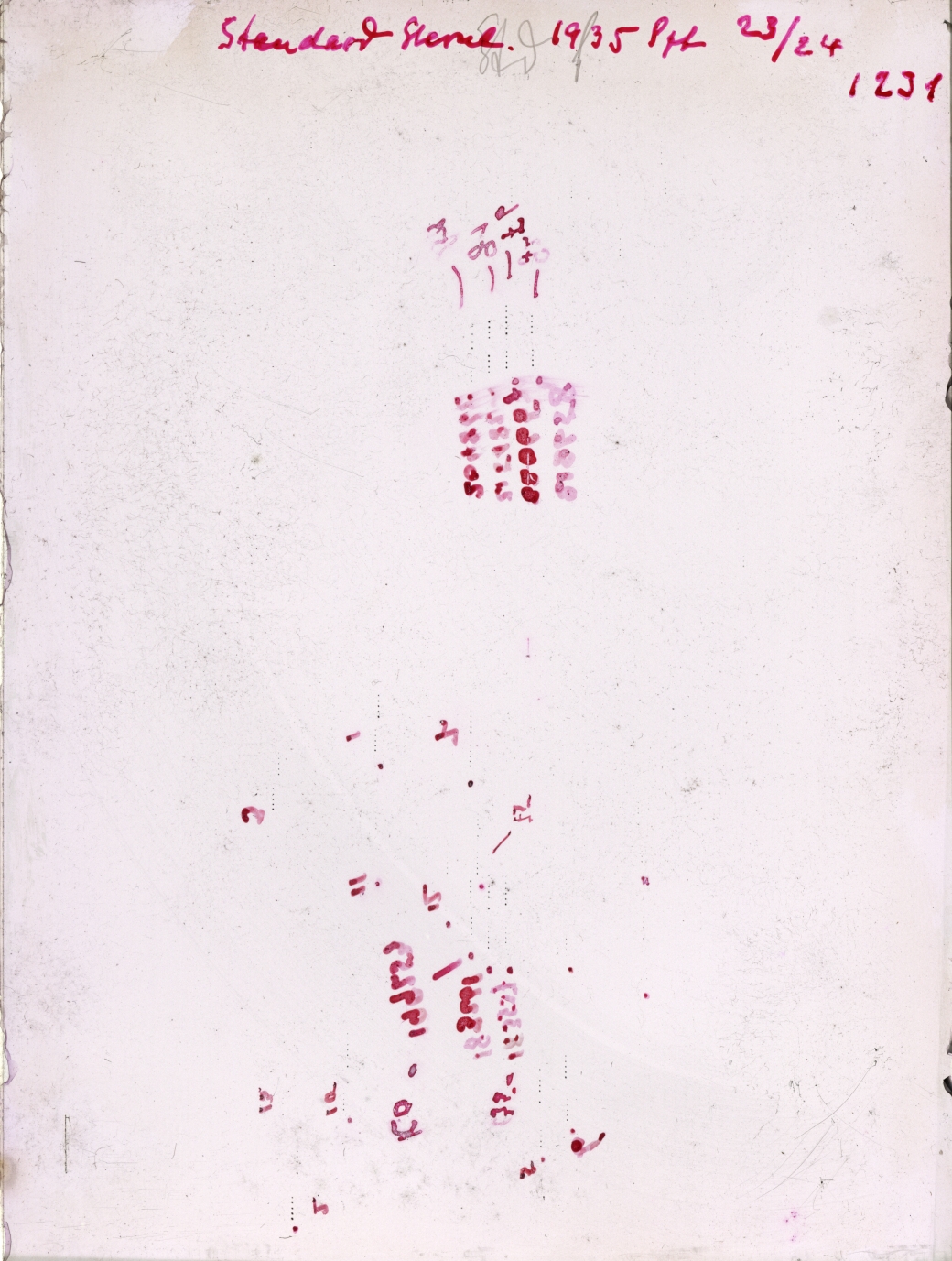 Scan GR01231