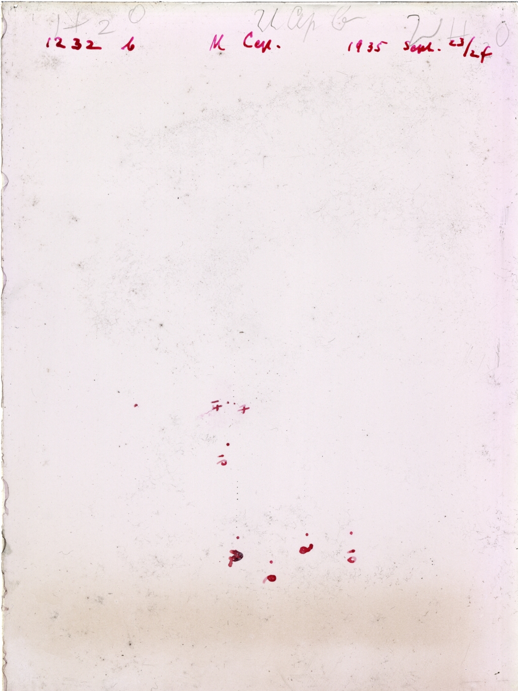 Scan GR01232b