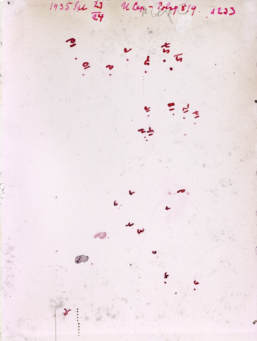 Scan GR01233