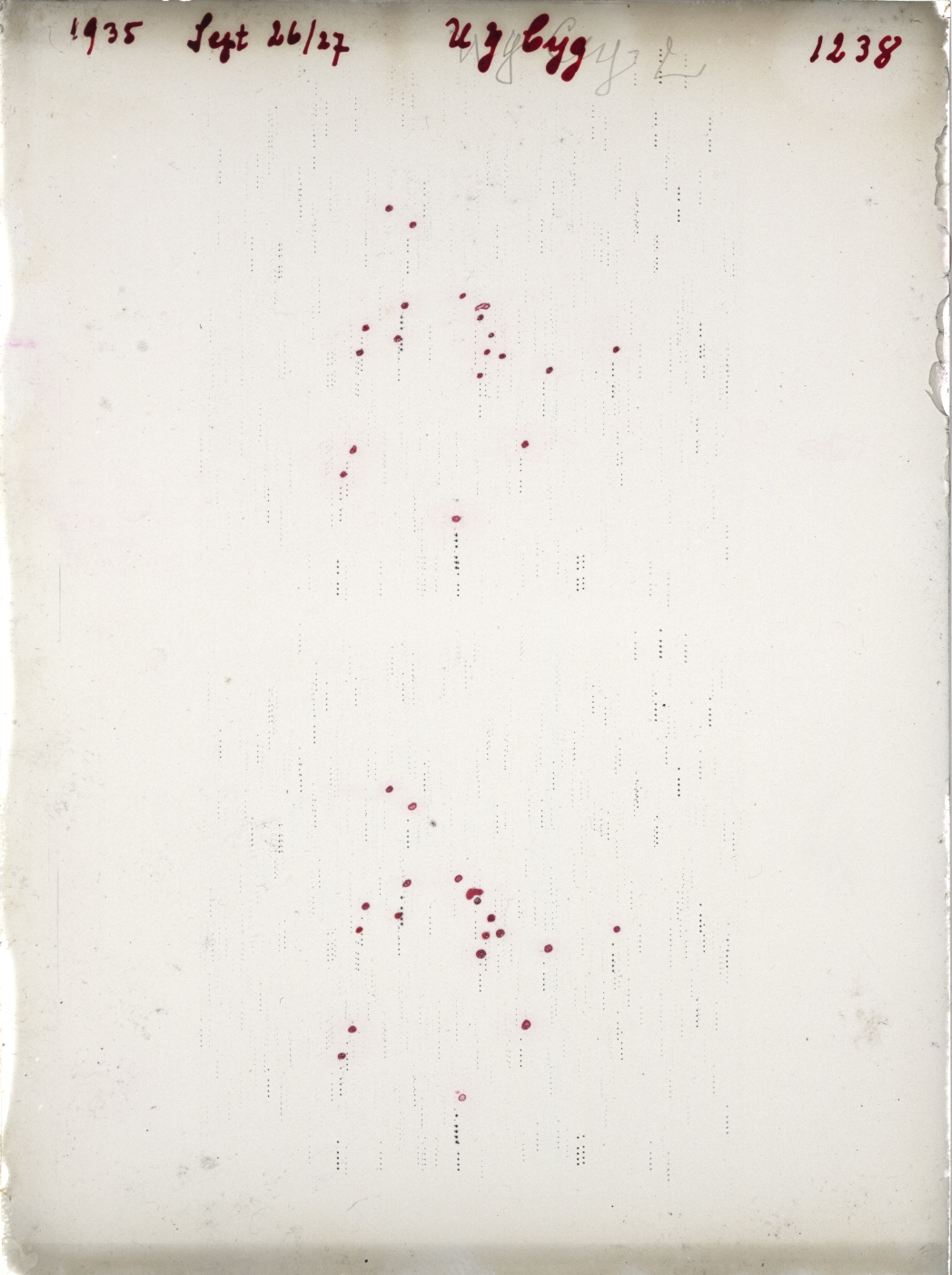Scan GR01238
