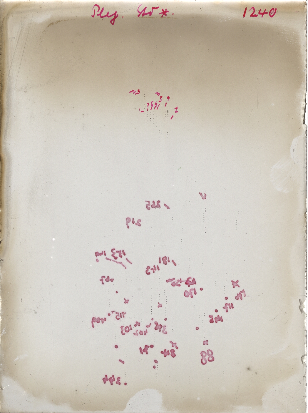 Scan GR01240
