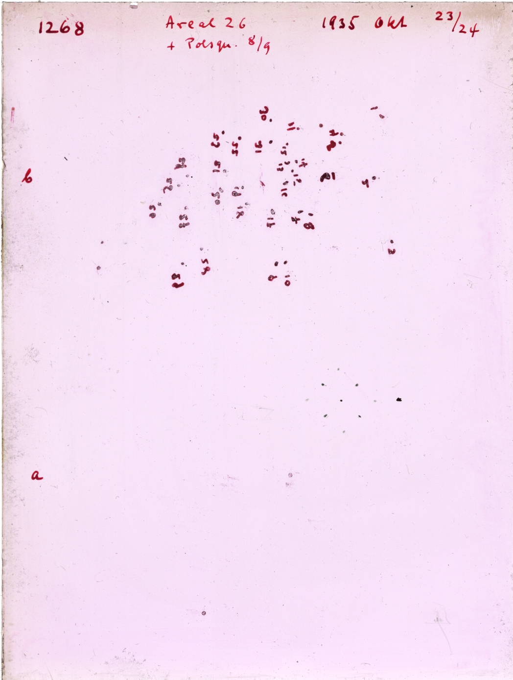 Scan GR01268T