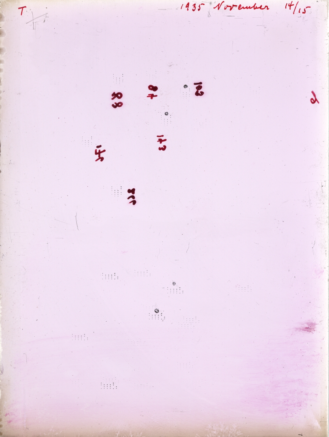 Scan GR01273T