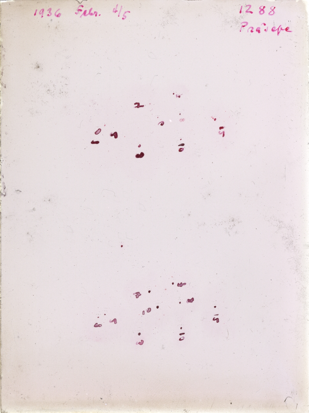 Scan GR01288